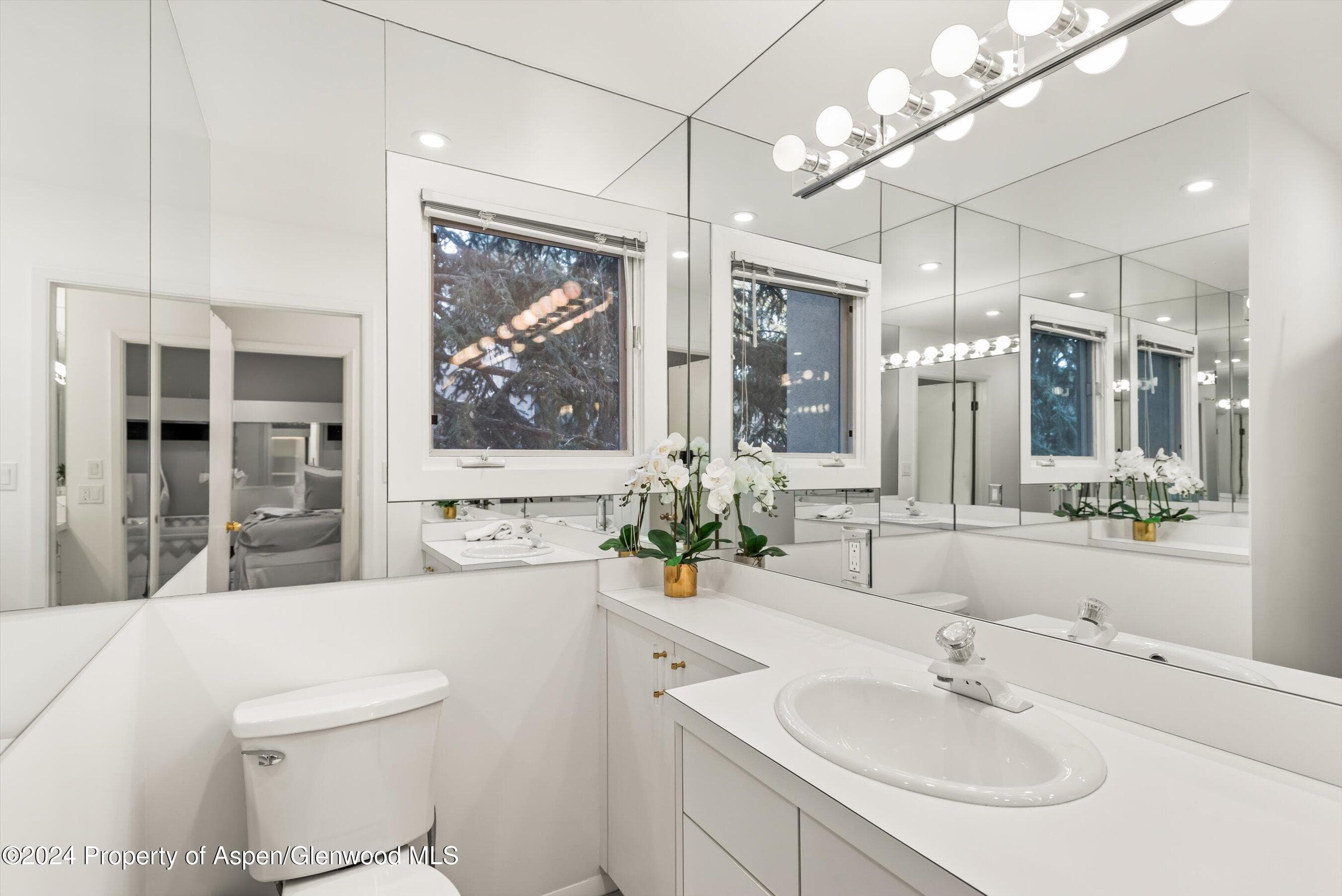 814 W Bleeker Street D1, Aspen, CO 81611 - Photo 14