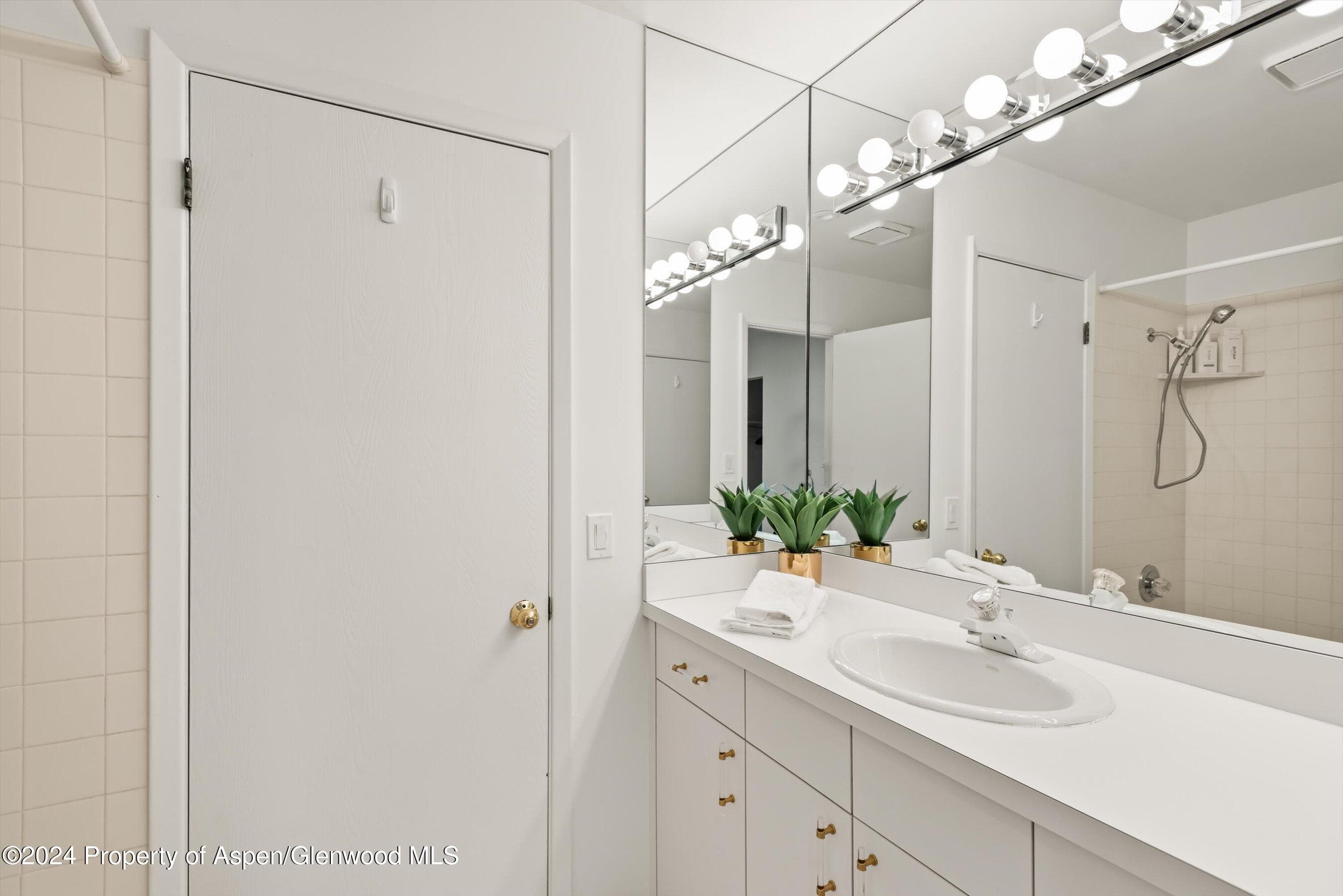 814 W Bleeker Street D1, Aspen, CO 81611 - Photo 15