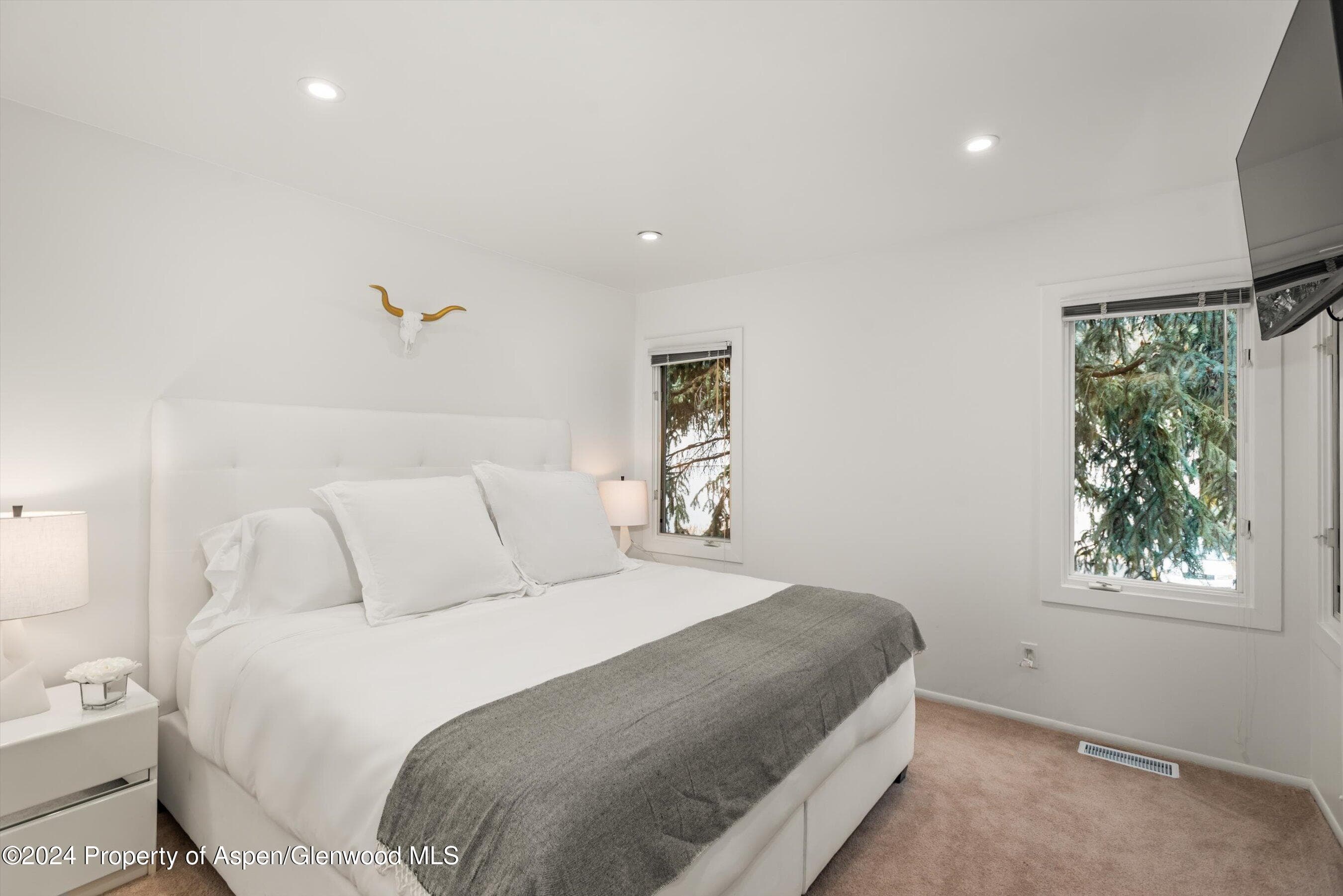 814 W Bleeker Street D1, Aspen, CO 81611 - Photo 16