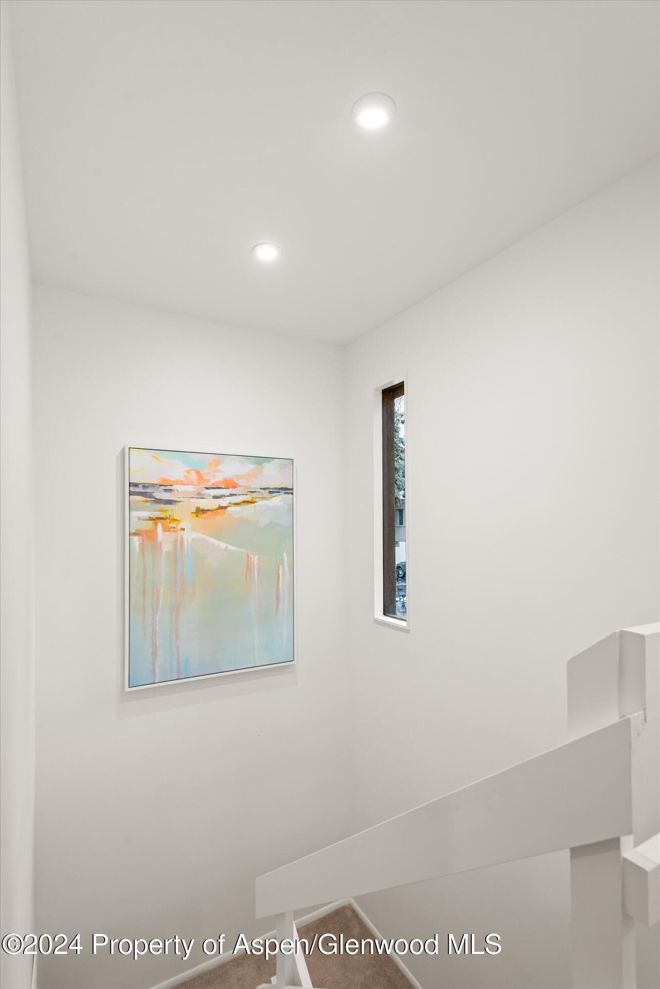 814 W Bleeker Street D1, Aspen, CO 81611 - Photo 17