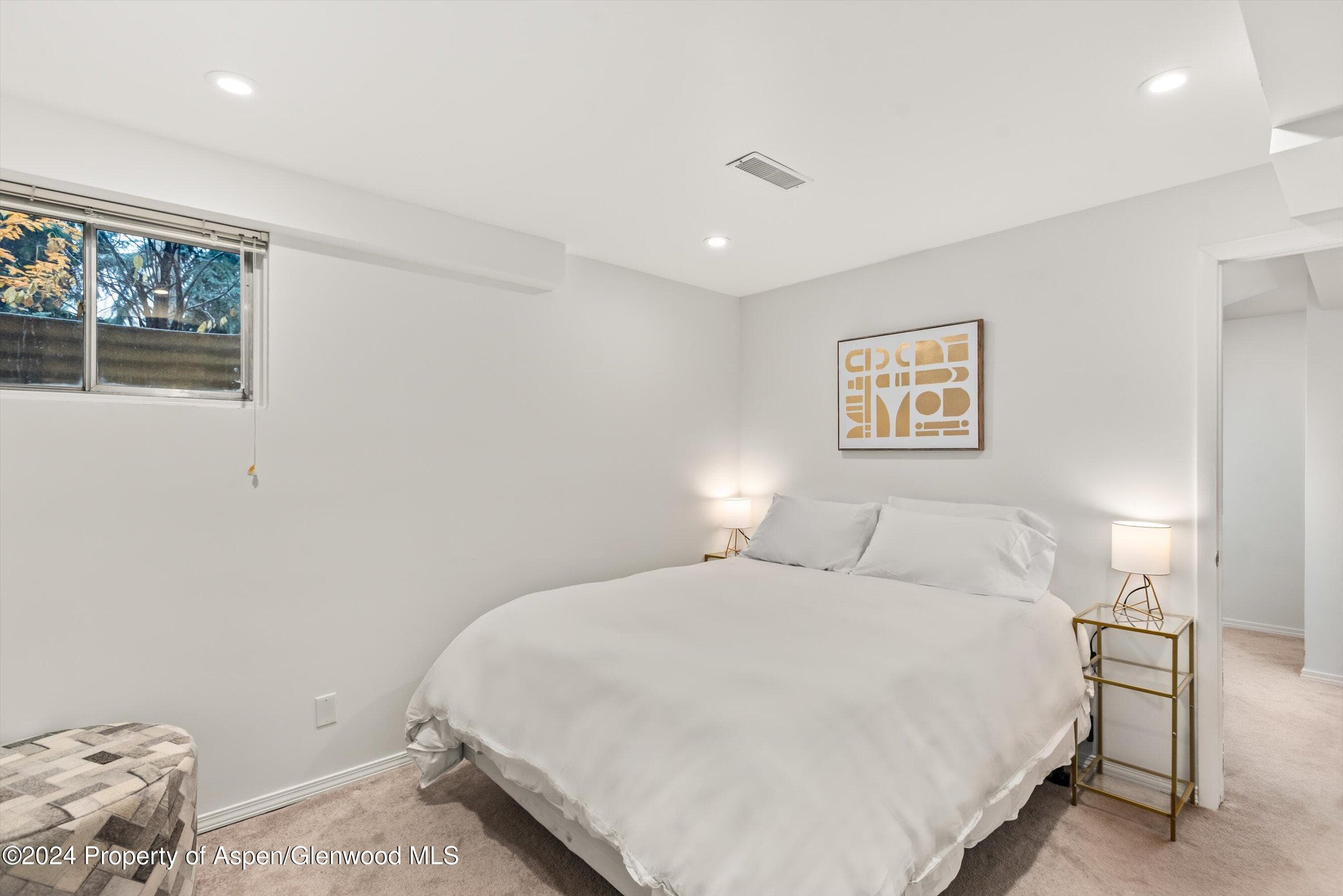 814 W Bleeker Street D1, Aspen, CO 81611 - Photo 18