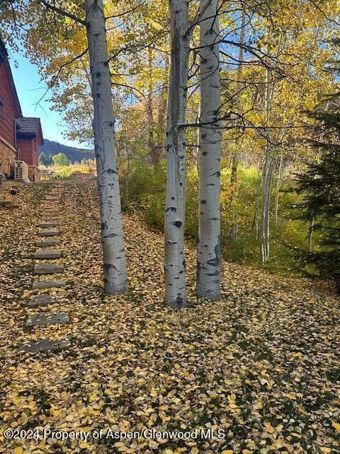 71 Meadow Road, Snowmass Village, CO 81615 - Photo 48