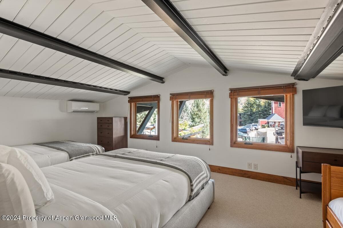 809 S Aspen Street #1, Aspen, CO 81611 - Photo 21