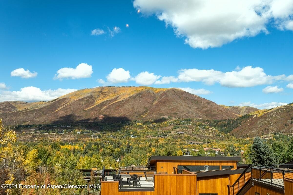 809 S Aspen Street #1, Aspen, CO 81611 - Photo 23