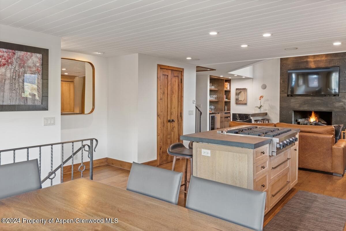 809 S Aspen Street #1, Aspen, CO 81611 - Photo 13