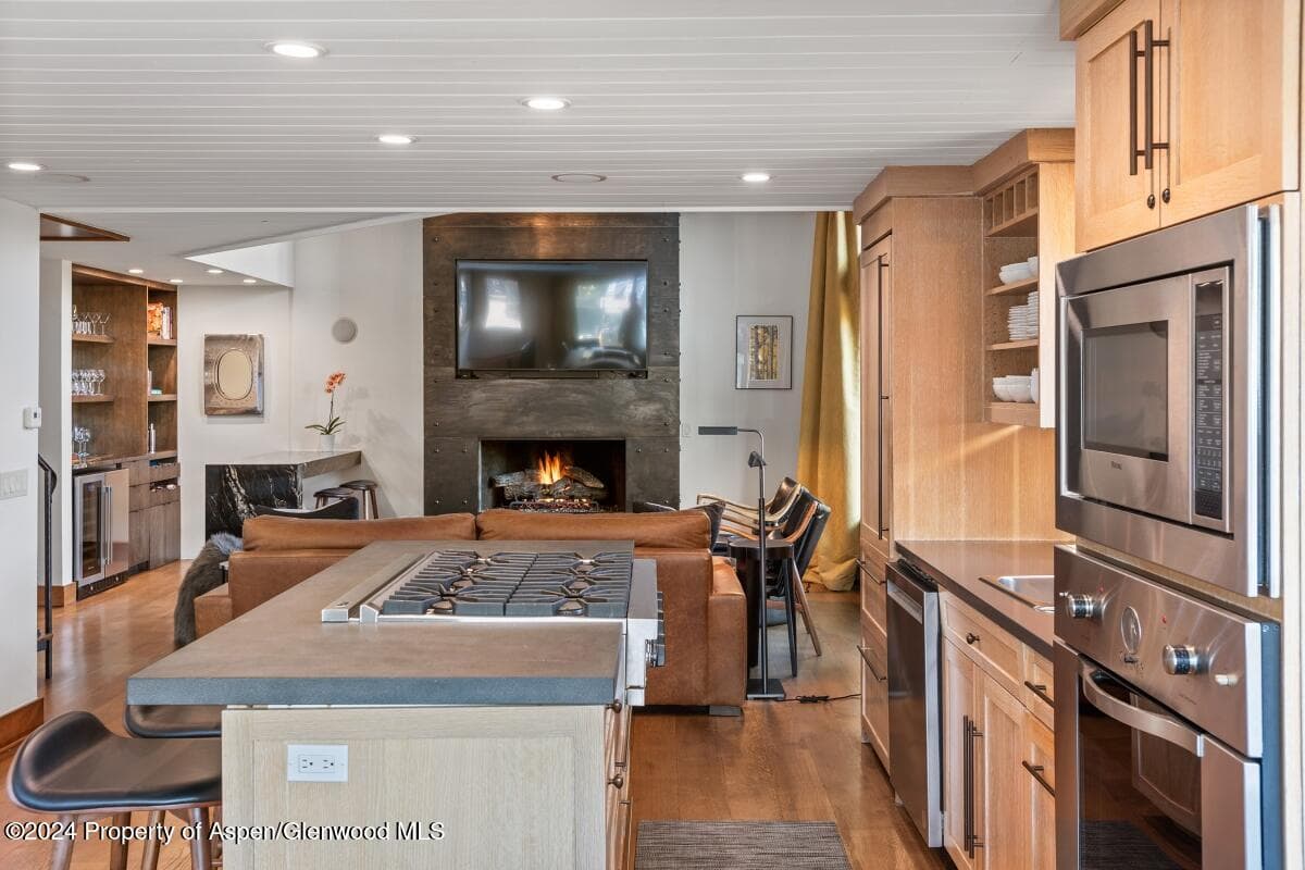 809 S Aspen Street #1, Aspen, CO 81611 - Photo 9