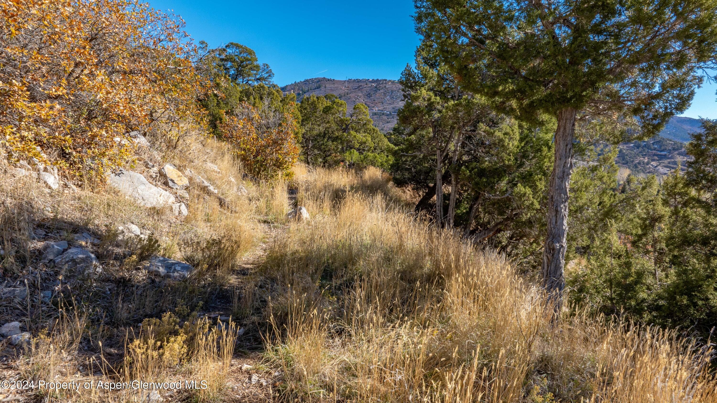 611 Highlands Drive, Glenwood Springs, CO 81601 - Photo 5