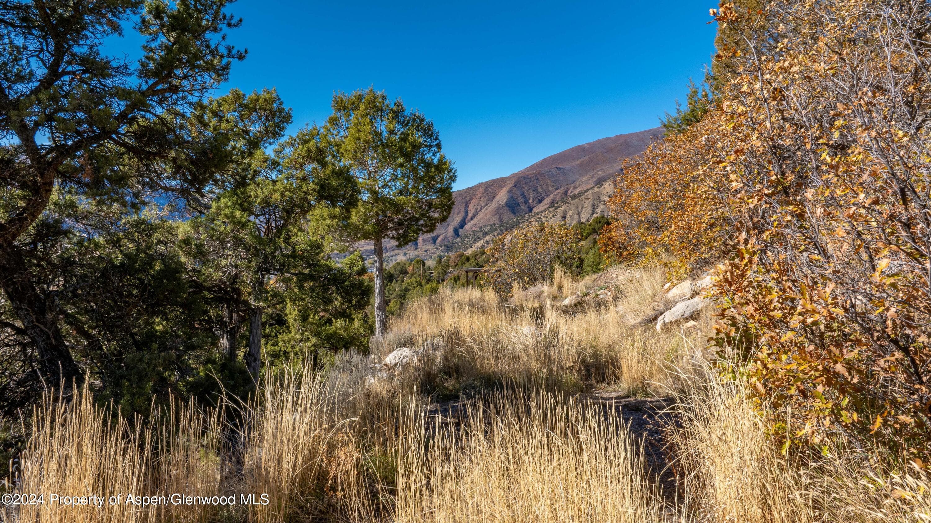 611 Highlands Drive, Glenwood Springs, CO 81601 - Photo 6