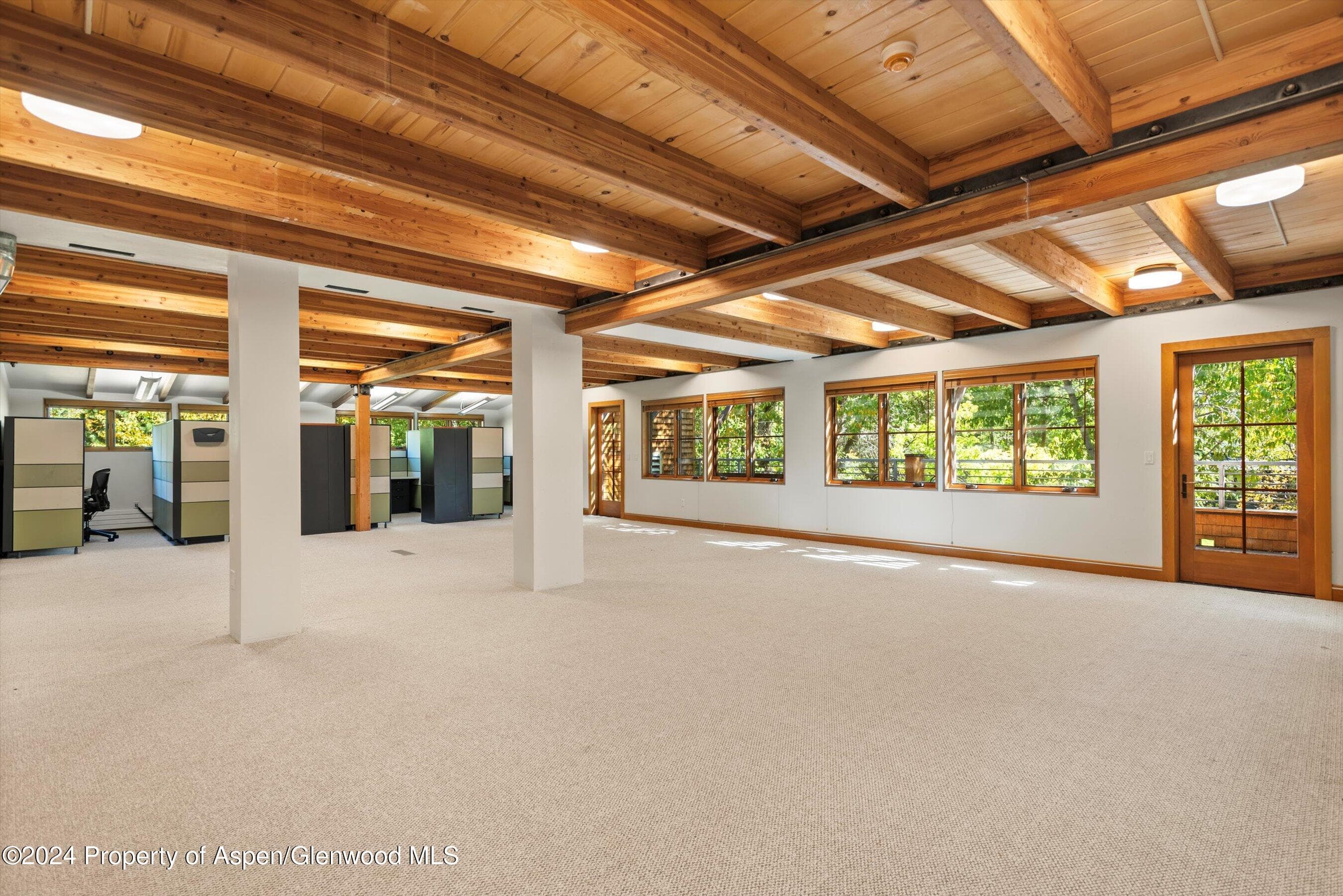 229 Midland Avenue D2, Basalt, CO 81621 - Photo 4
