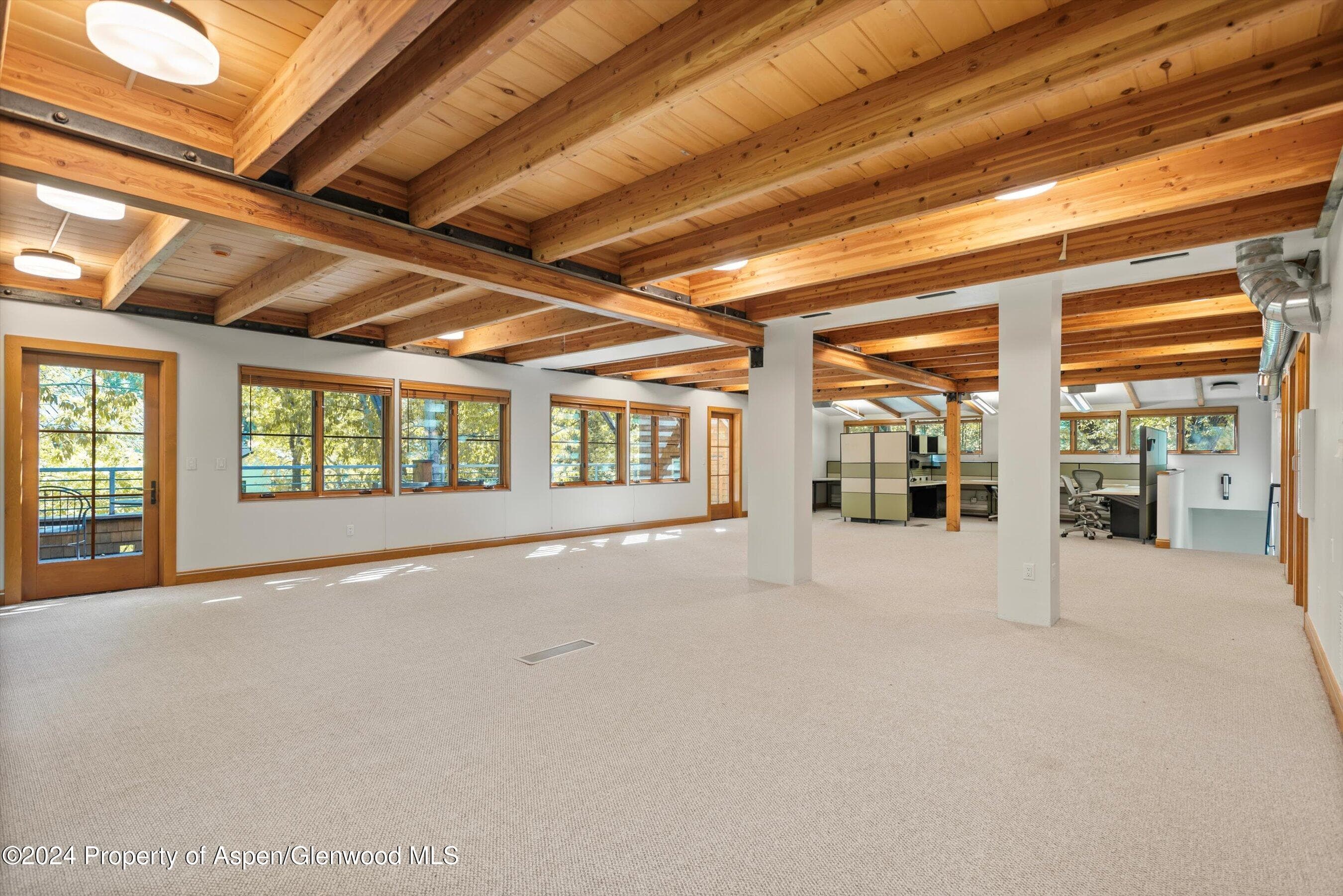 229 Midland Avenue D2, Basalt, CO 81621 - Photo 7