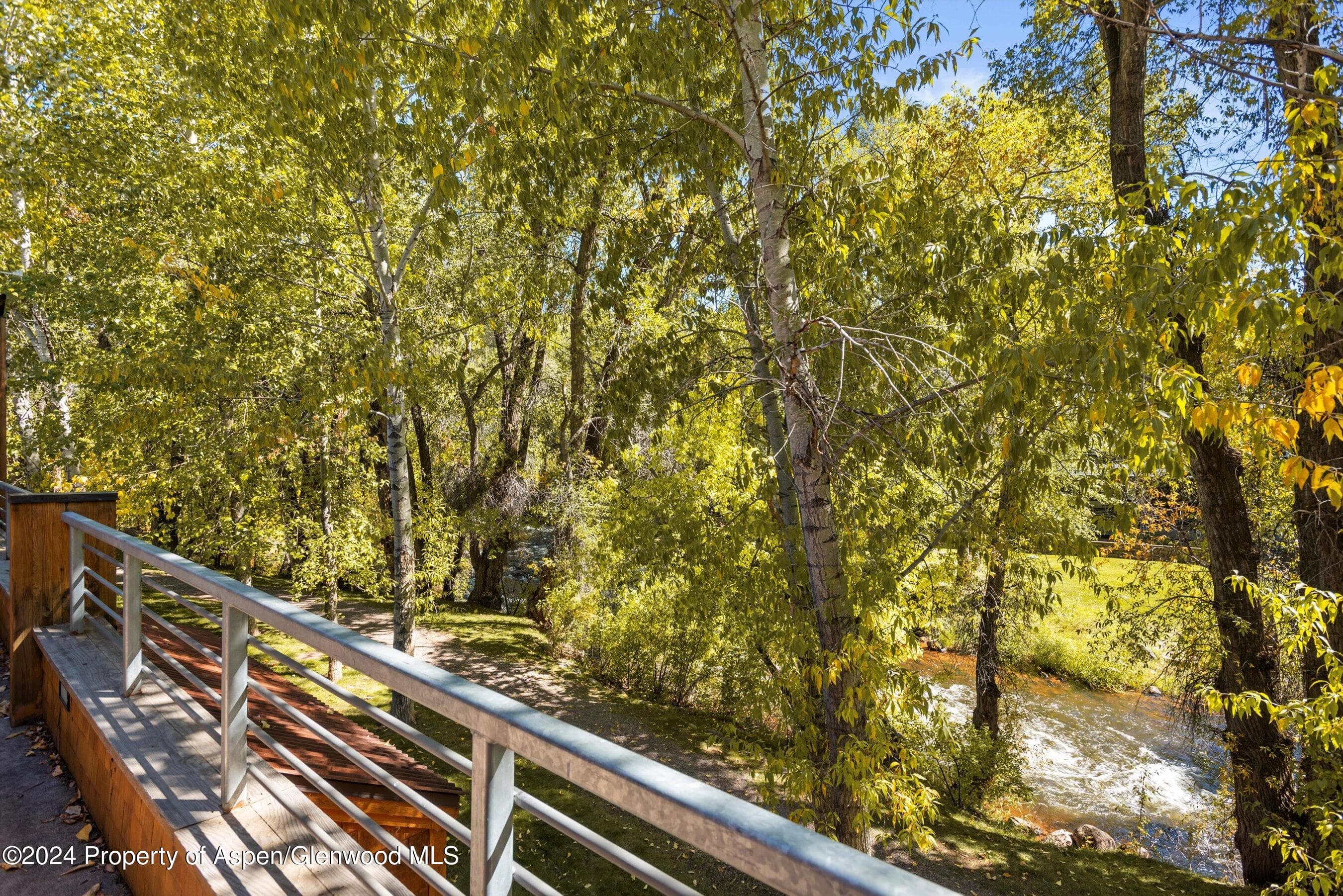 229 Midland Avenue D2, Basalt, CO 81621 - Photo 11