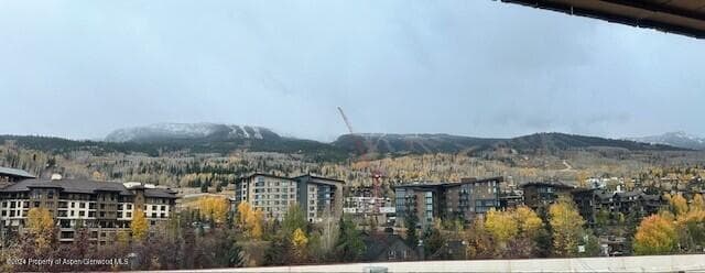 16 Kearns Road 206, Snowmass Village, CO 81615 - Photo 4