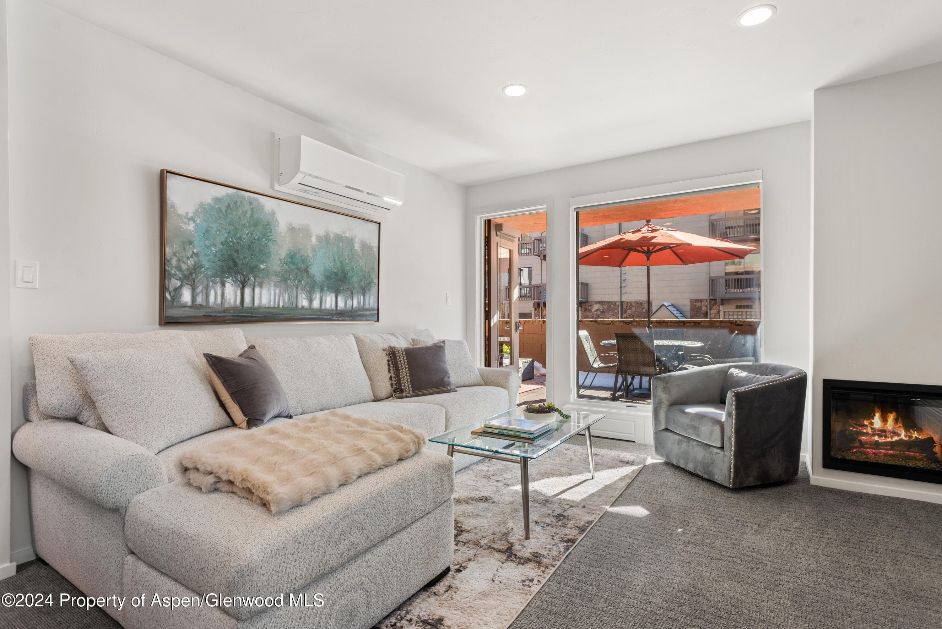 605 E Main Street #7, Aspen, CO 81611