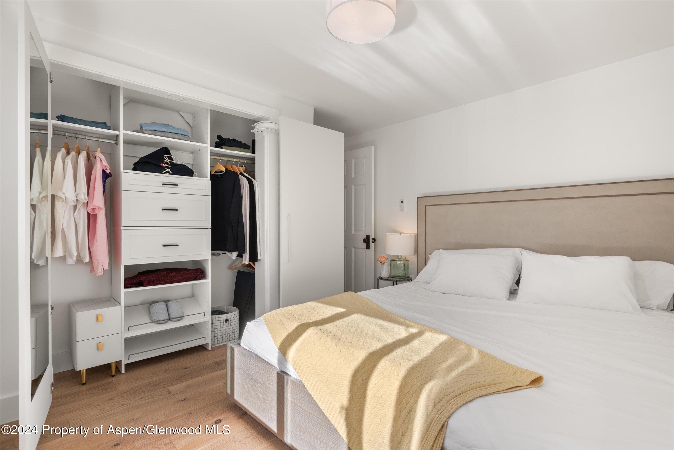 119 E Cooper Avenue 26, Aspen, CO 81611 - Photo 10