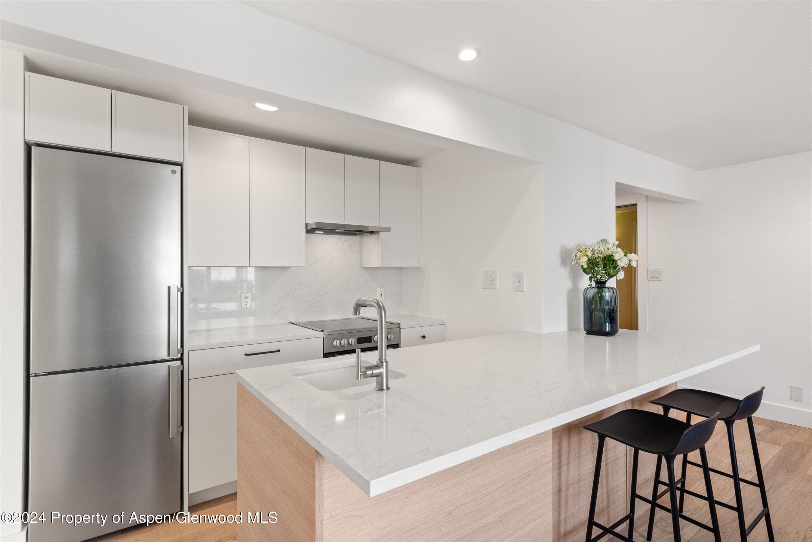 119 E Cooper Avenue 26, Aspen, CO 81611 - Photo 5