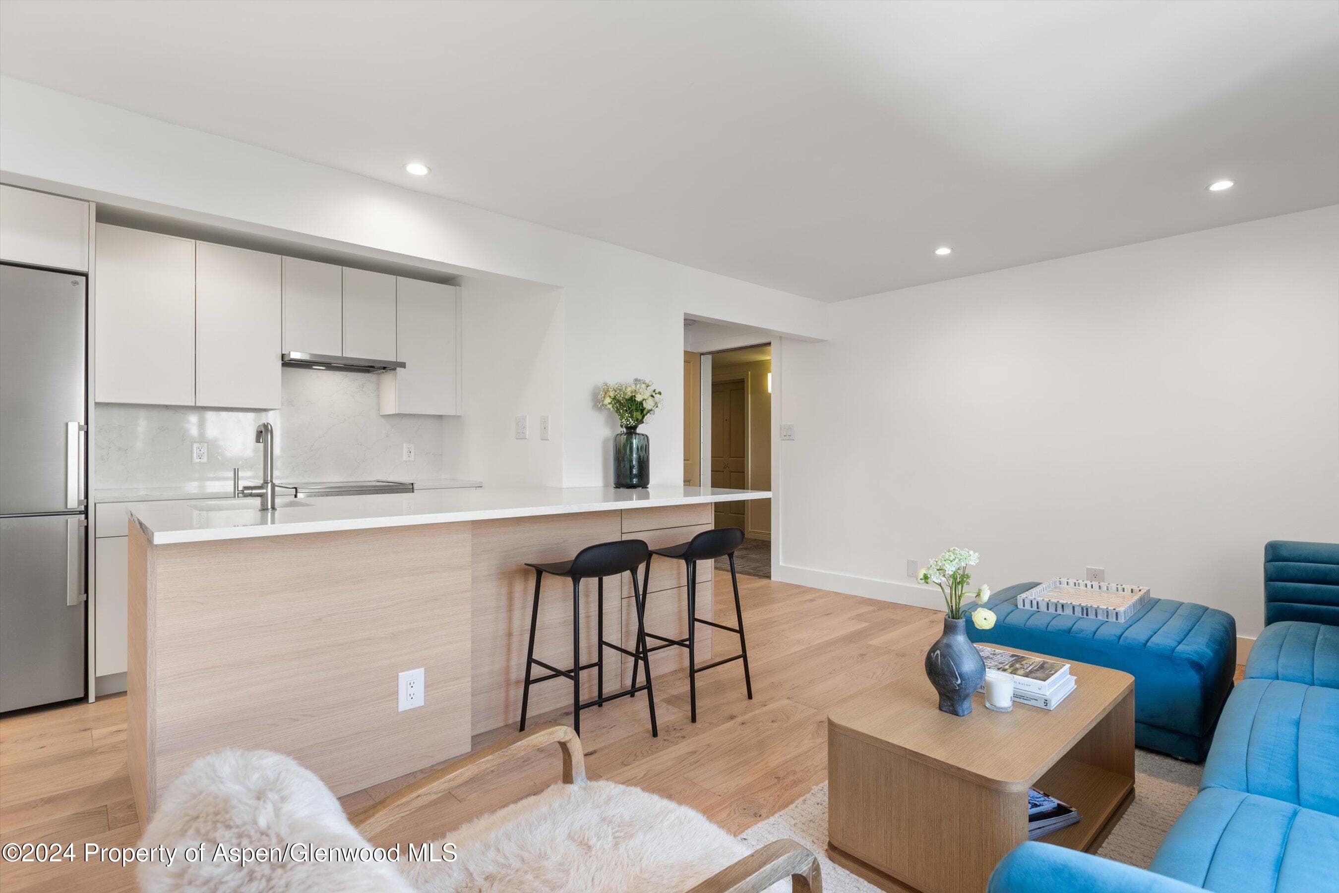 119 E Cooper Avenue 26, Aspen, CO 81611 - Photo 4