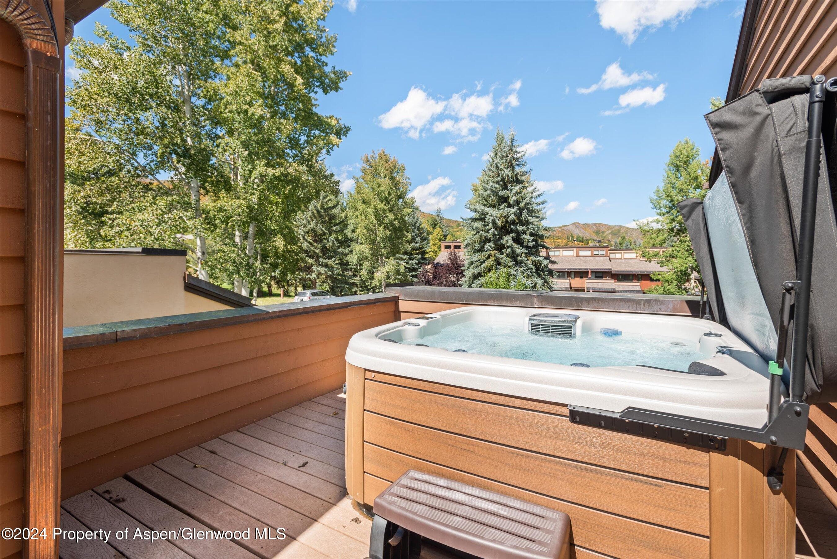 124 Harleston Green Road 45, Snowmass Village, CO 81615 - Photo 25