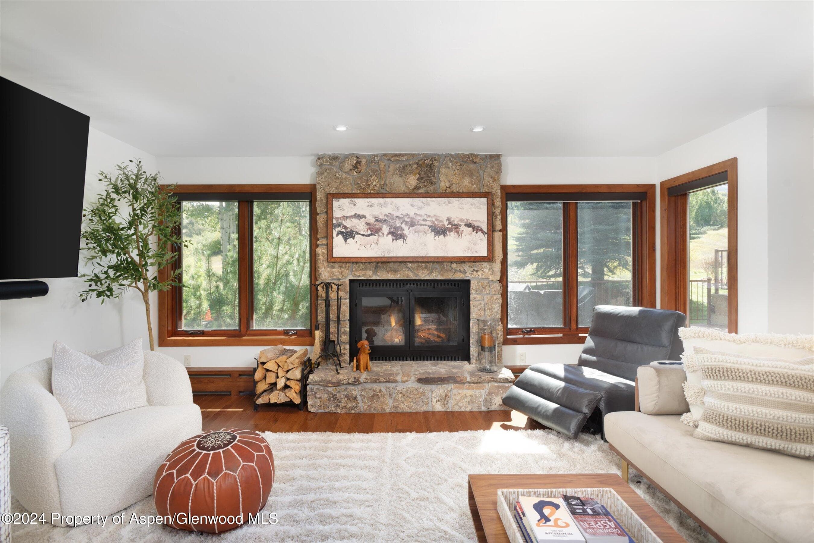 124 Harleston Green Road 45, Snowmass Village, CO 81615 - Photo 11