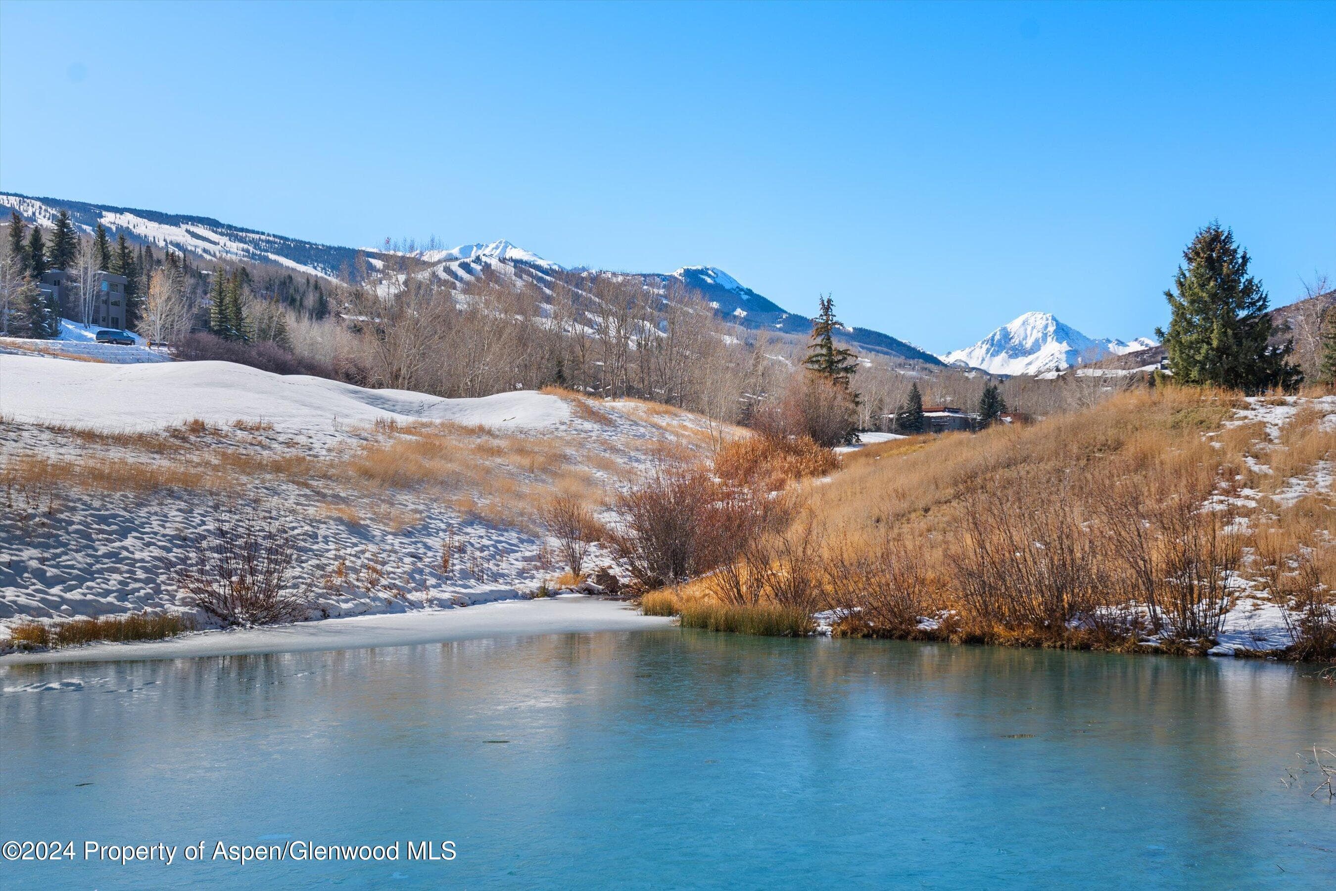 124 Harleston Green Road 45, Snowmass Village, CO 81615 - Photo 34