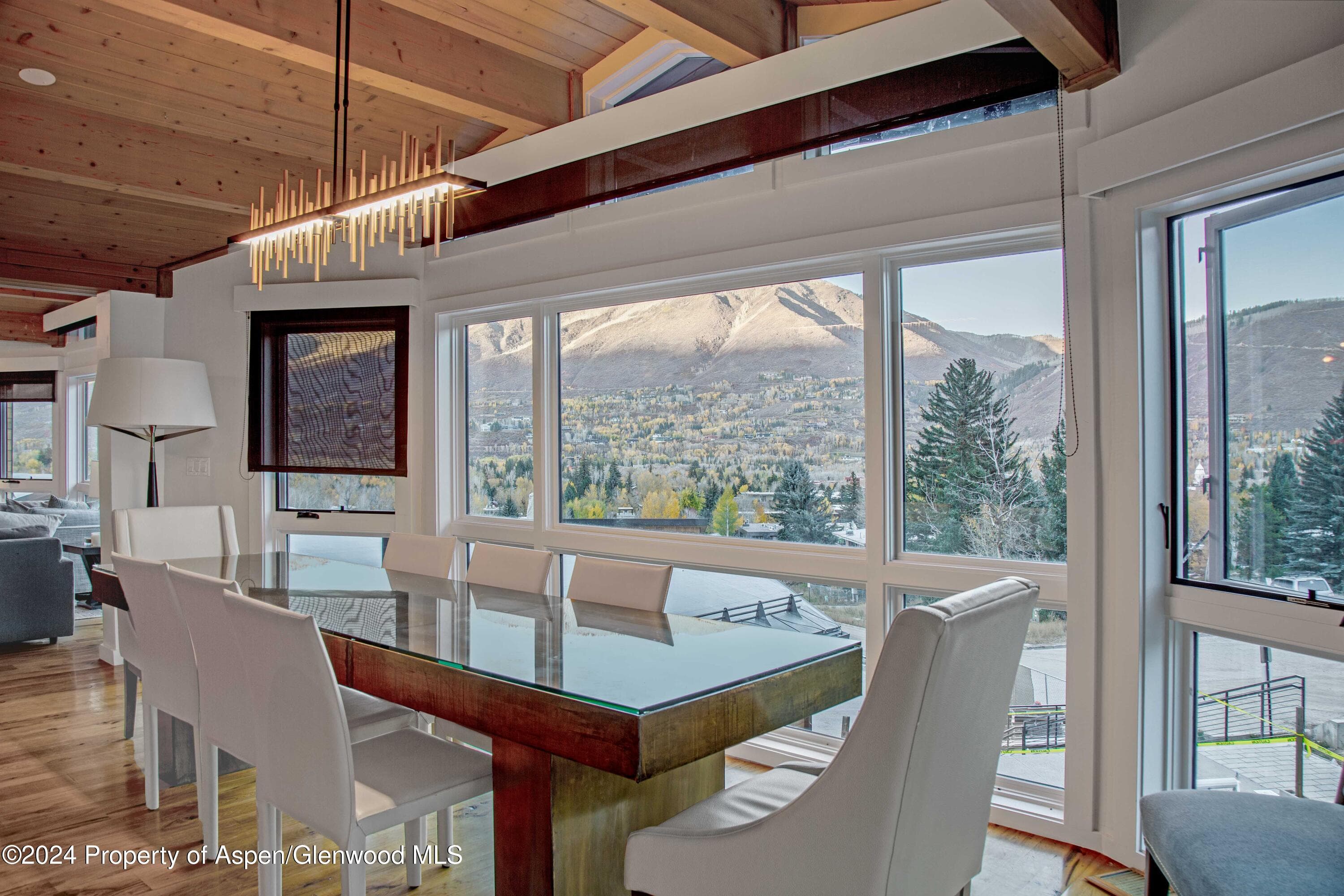 809 S Aspen Street 5&6, Aspen, CO 81611 - Photo 25