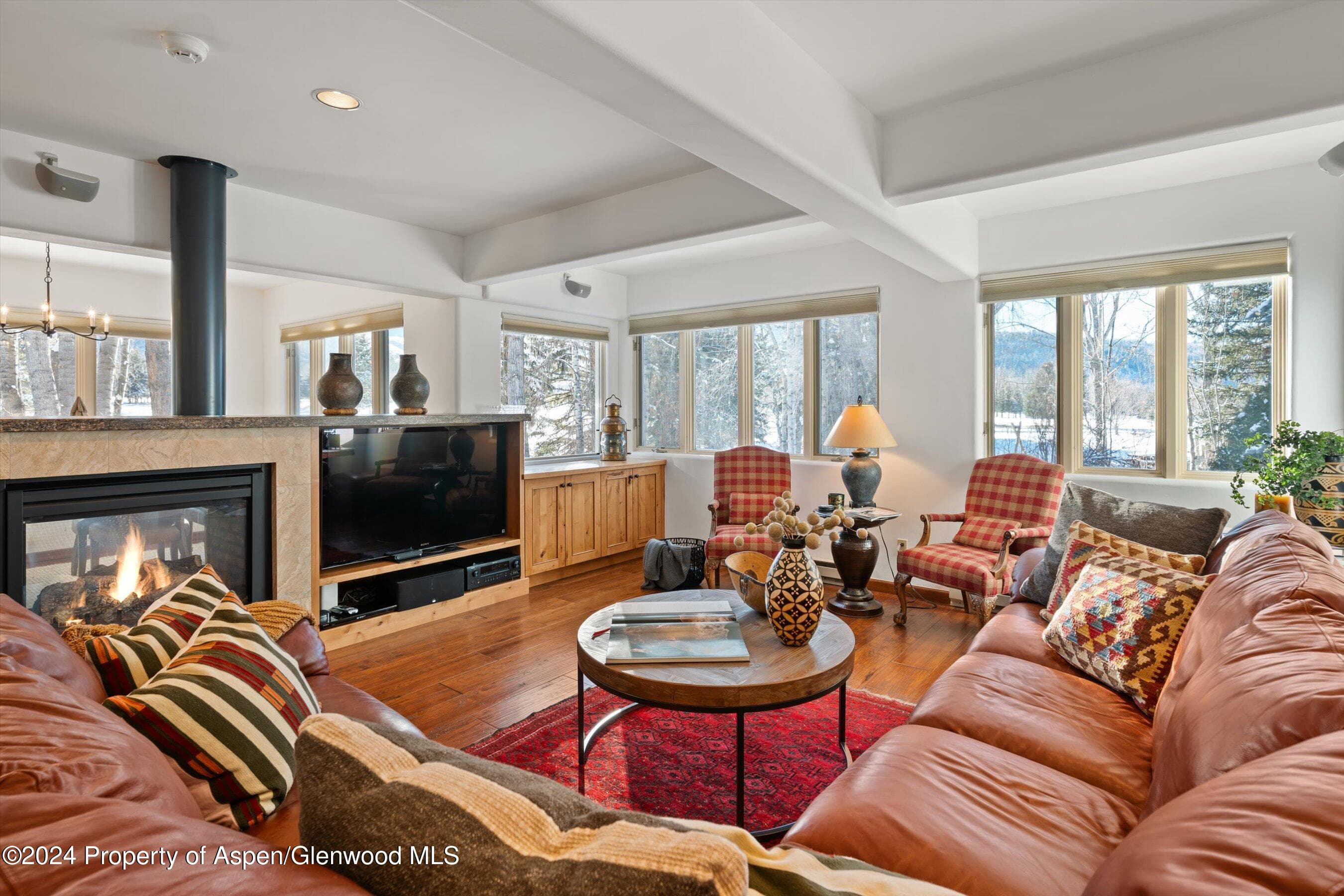 825 Cemetery Lane 2, Aspen, CO 81611 - Photo 12