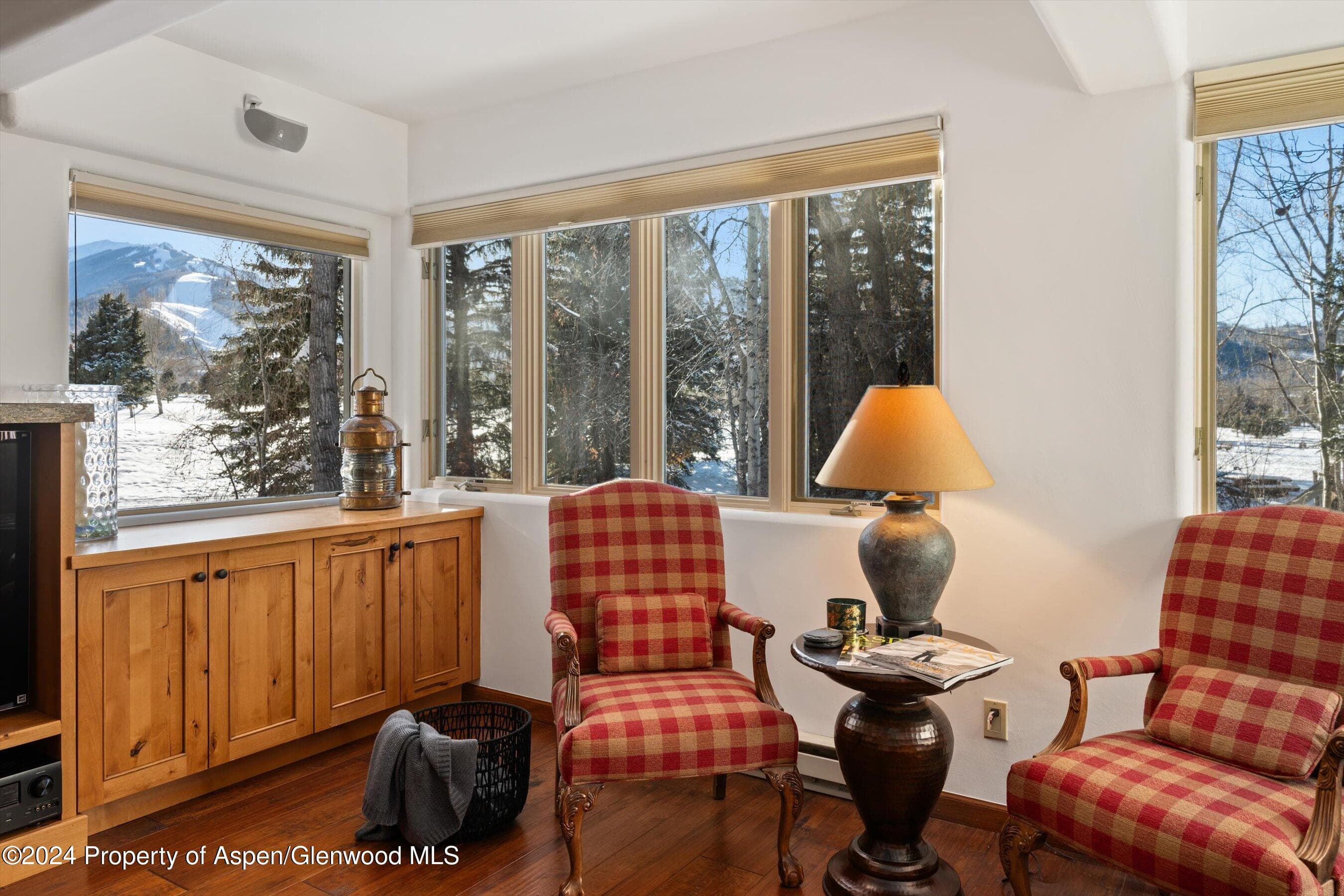 825 Cemetery Lane 2, Aspen, CO 81611 - Photo 17
