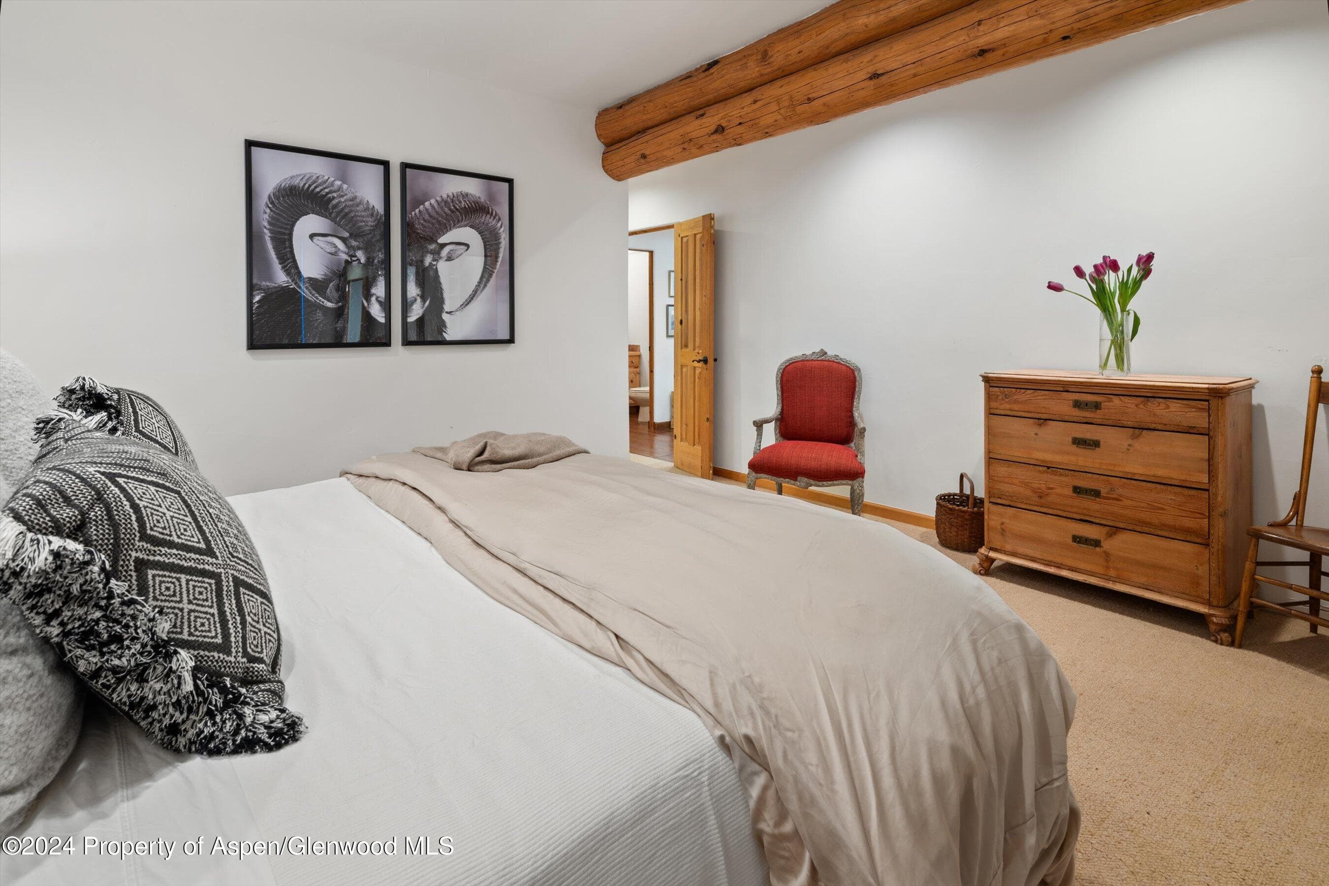 825 Cemetery Lane 2, Aspen, CO 81611 - Photo 21