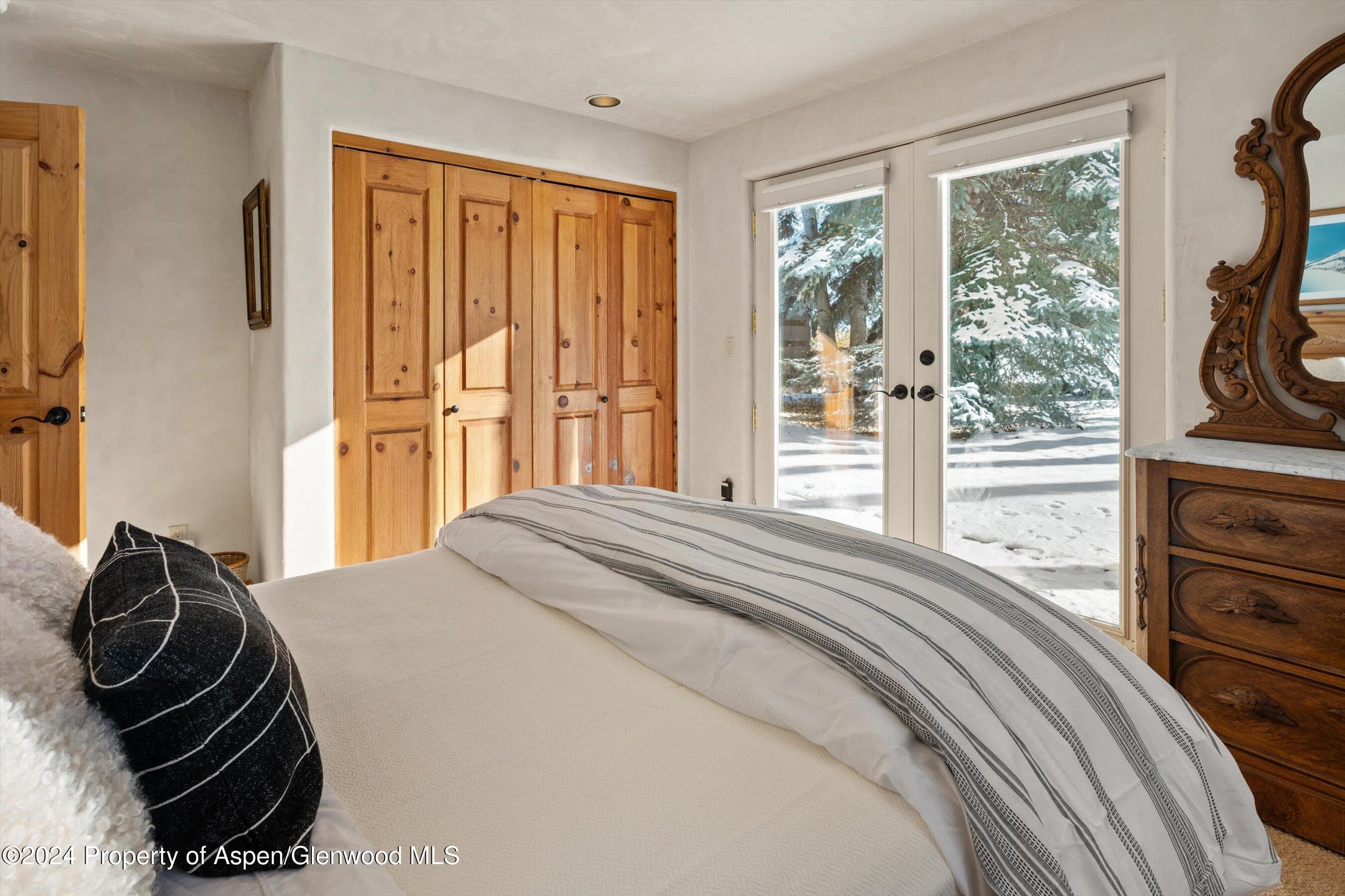 825 Cemetery Lane 2, Aspen, CO 81611 - Photo 29
