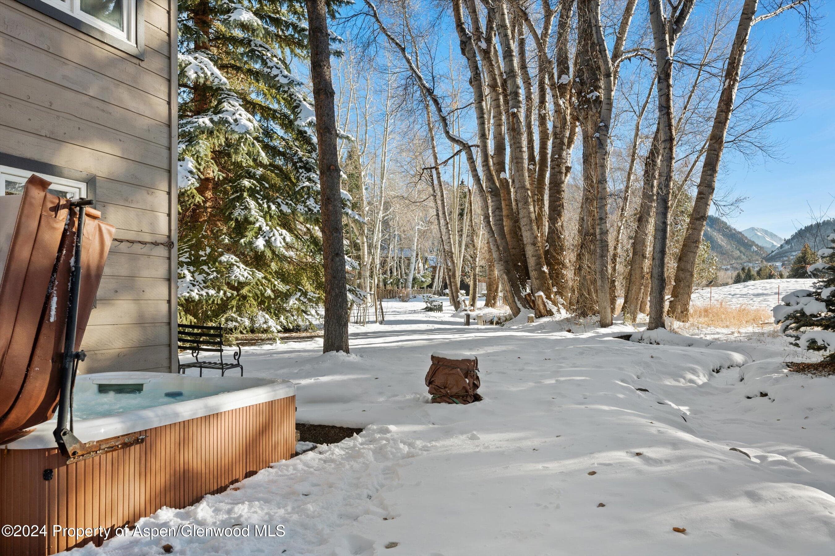 825 Cemetery Lane 2, Aspen, CO 81611 - Photo 43