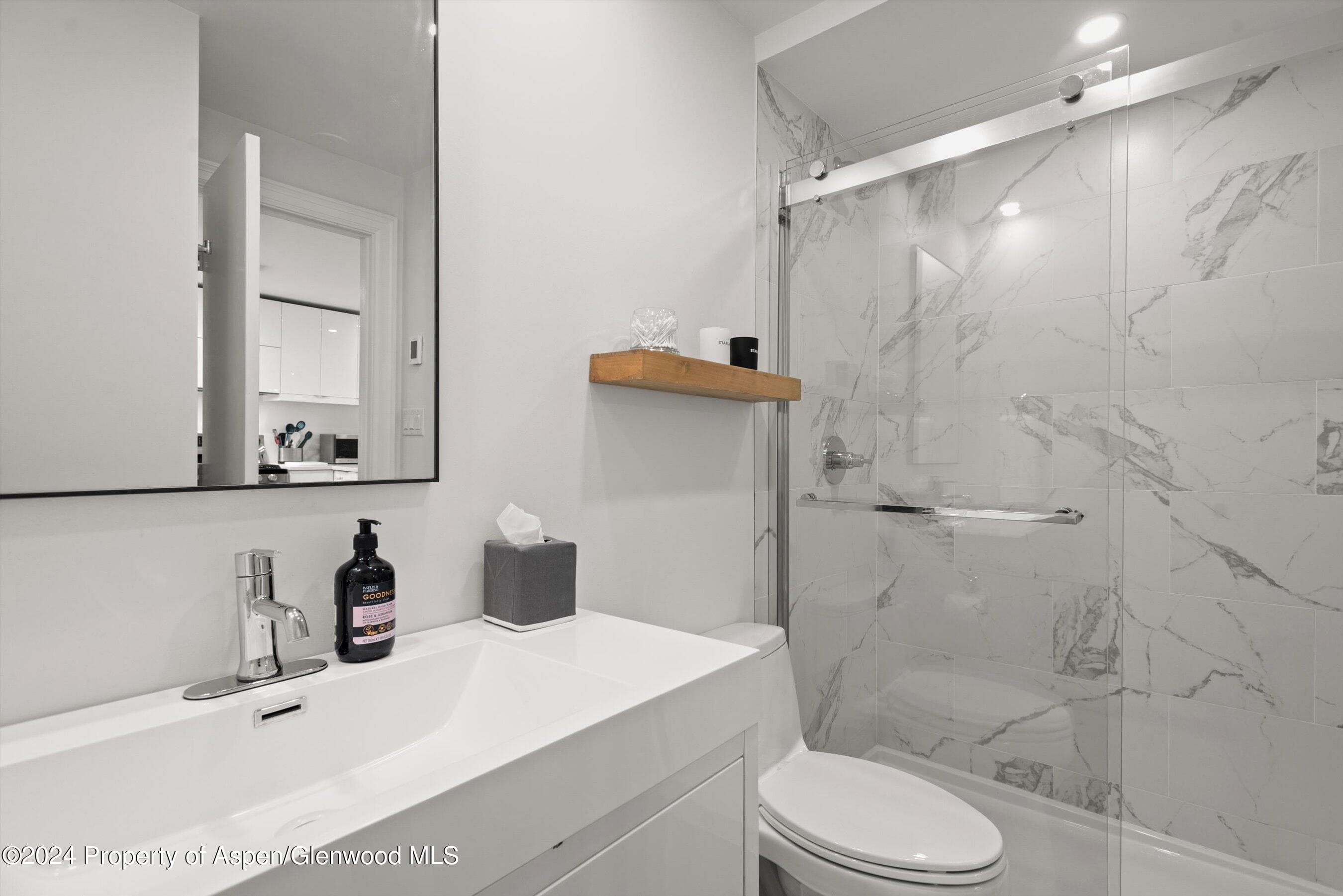 731 S Mill Street 1A, Aspen, CO 81611 - Photo 10