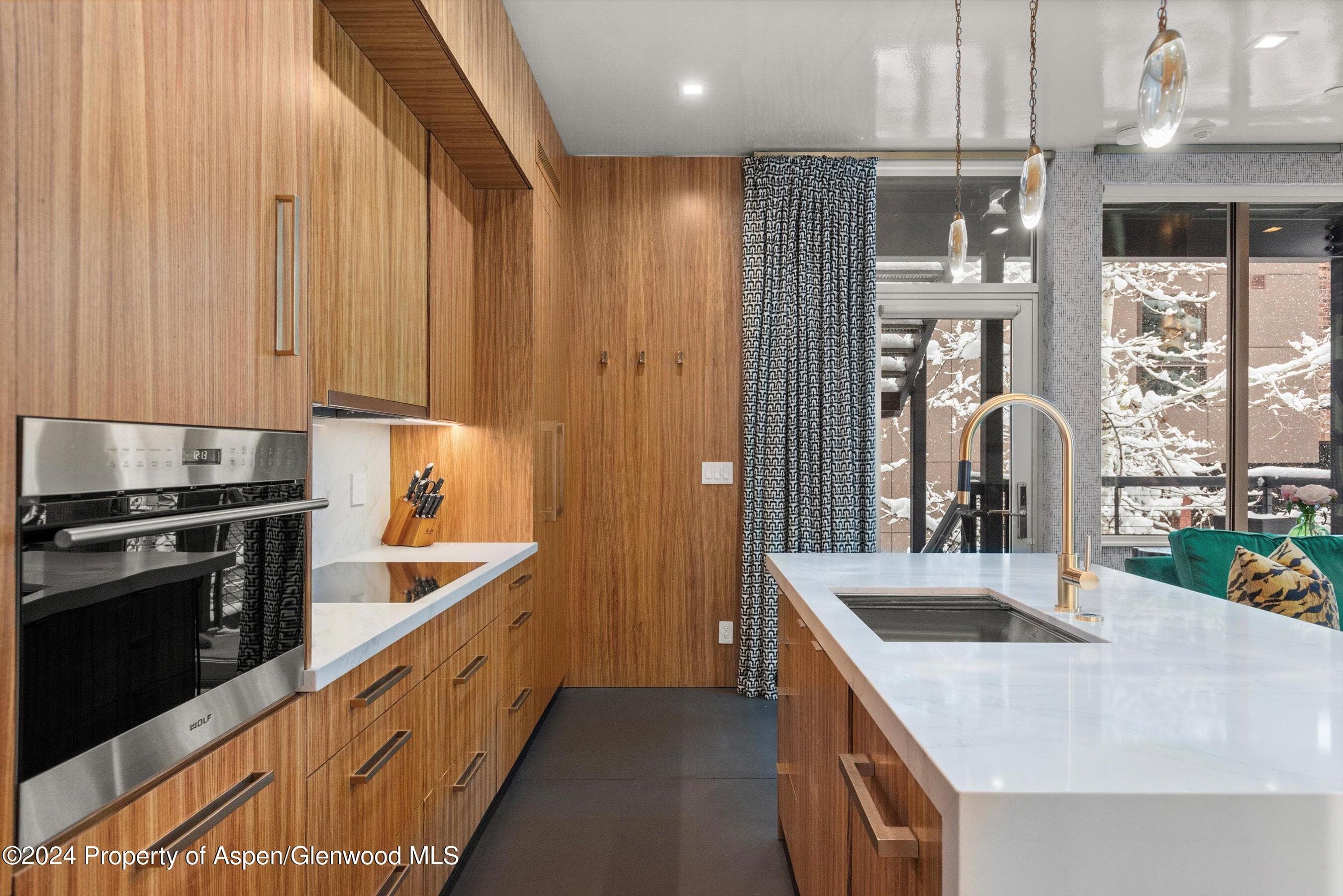 434 E Main Street 203, Aspen, CO 81611 - Photo 8