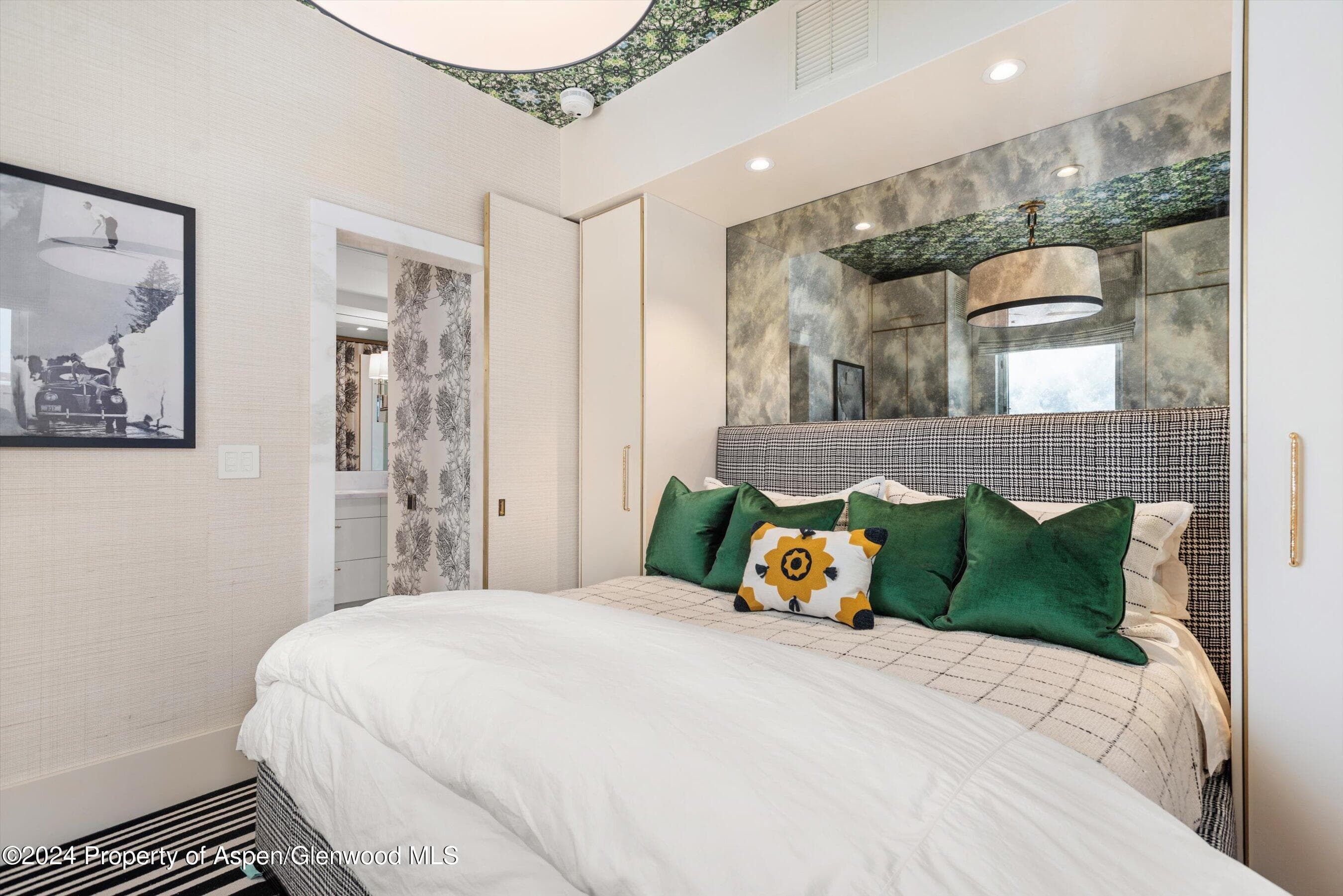 434 E Main Street 203, Aspen, CO 81611 - Photo 14