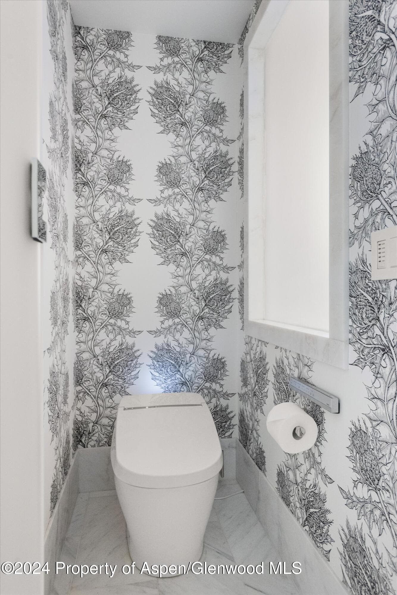 434 E Main Street 203, Aspen, CO 81611 - Photo 21