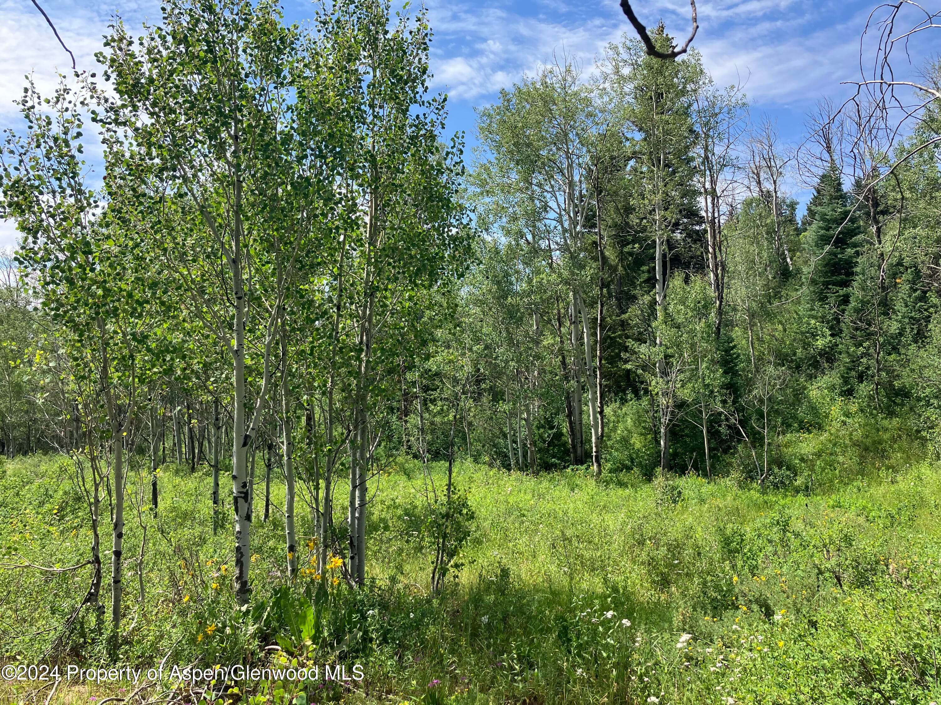 LOT 16B Mountain Springs Road, Glenwood Springs, CO 81601 - Photo 12