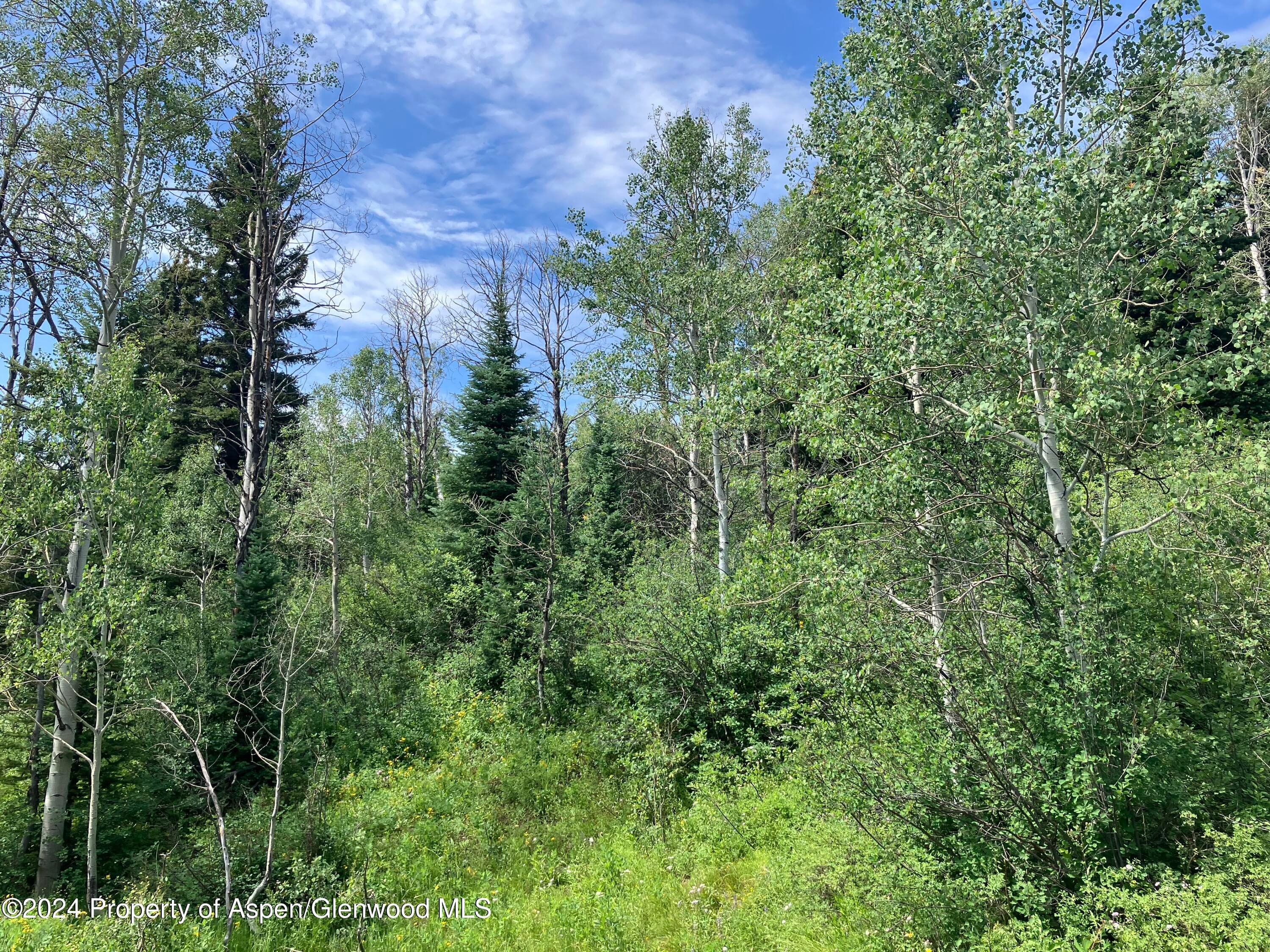 LOT 16B Mountain Springs Road, Glenwood Springs, CO 81601 - Photo 16