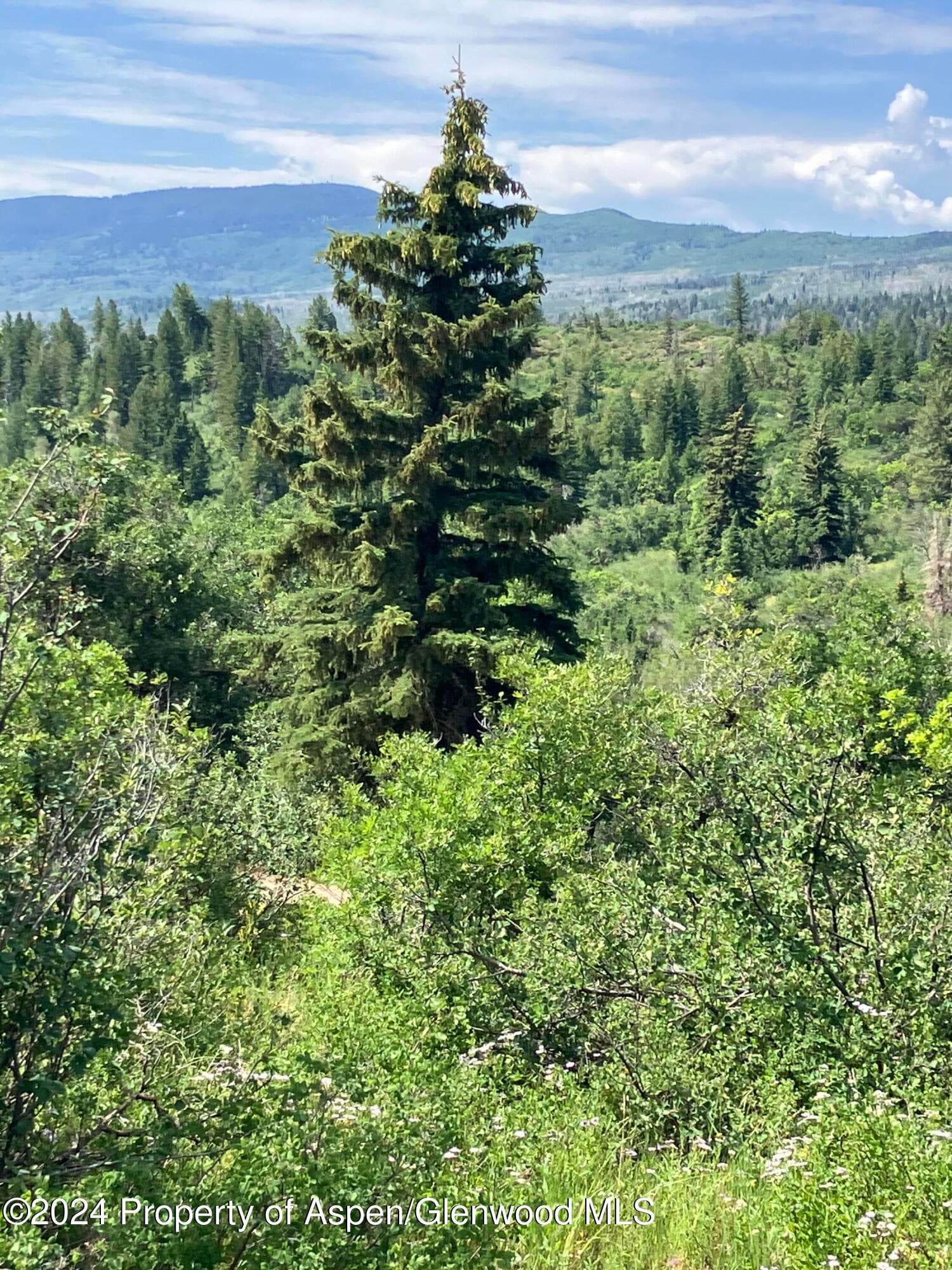LOT 16B Mountain Springs Road, Glenwood Springs, CO 81601 - Photo 20