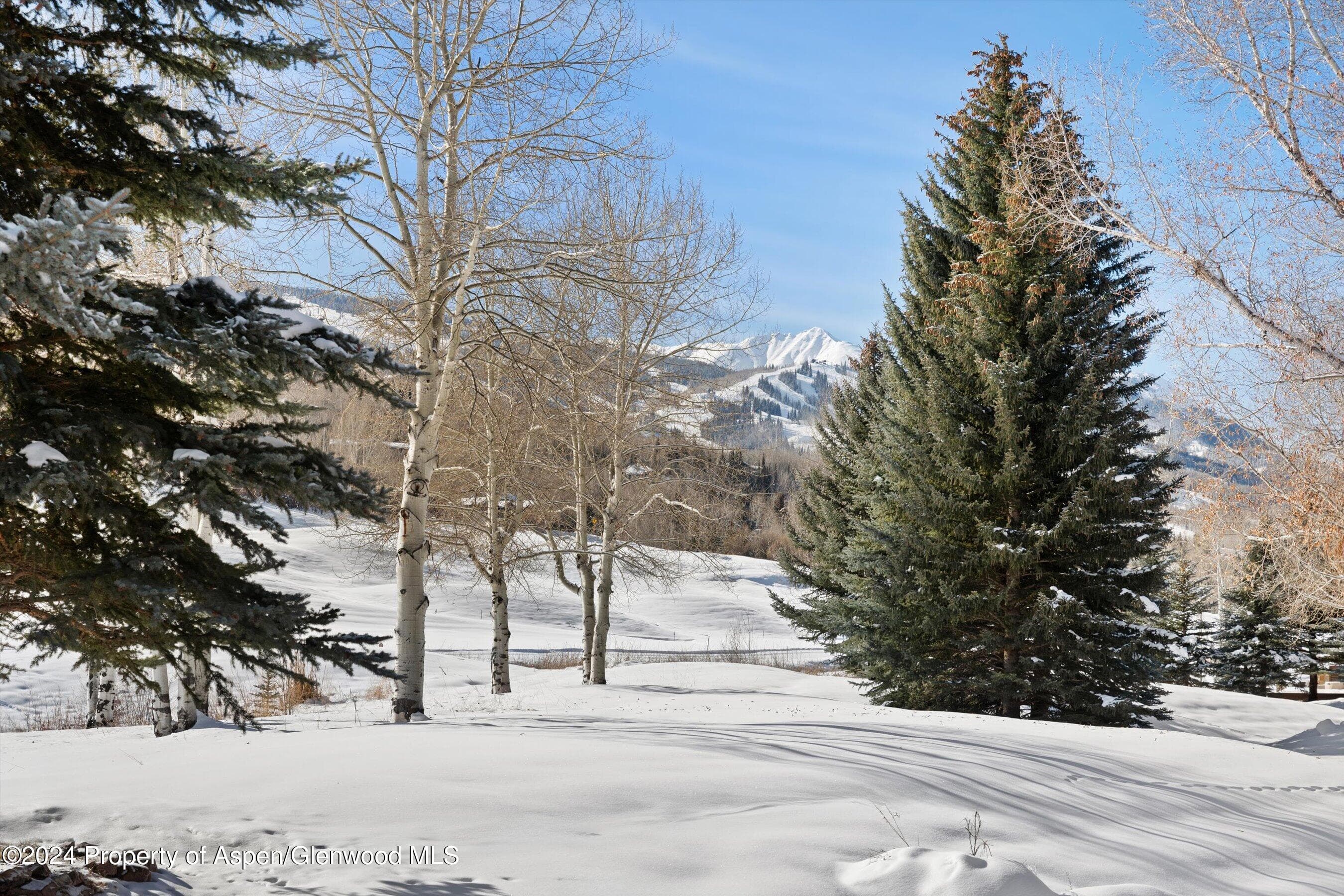 366 Snowmass Club Circle 2, Snowmass Village, CO 81615 - Photo 18