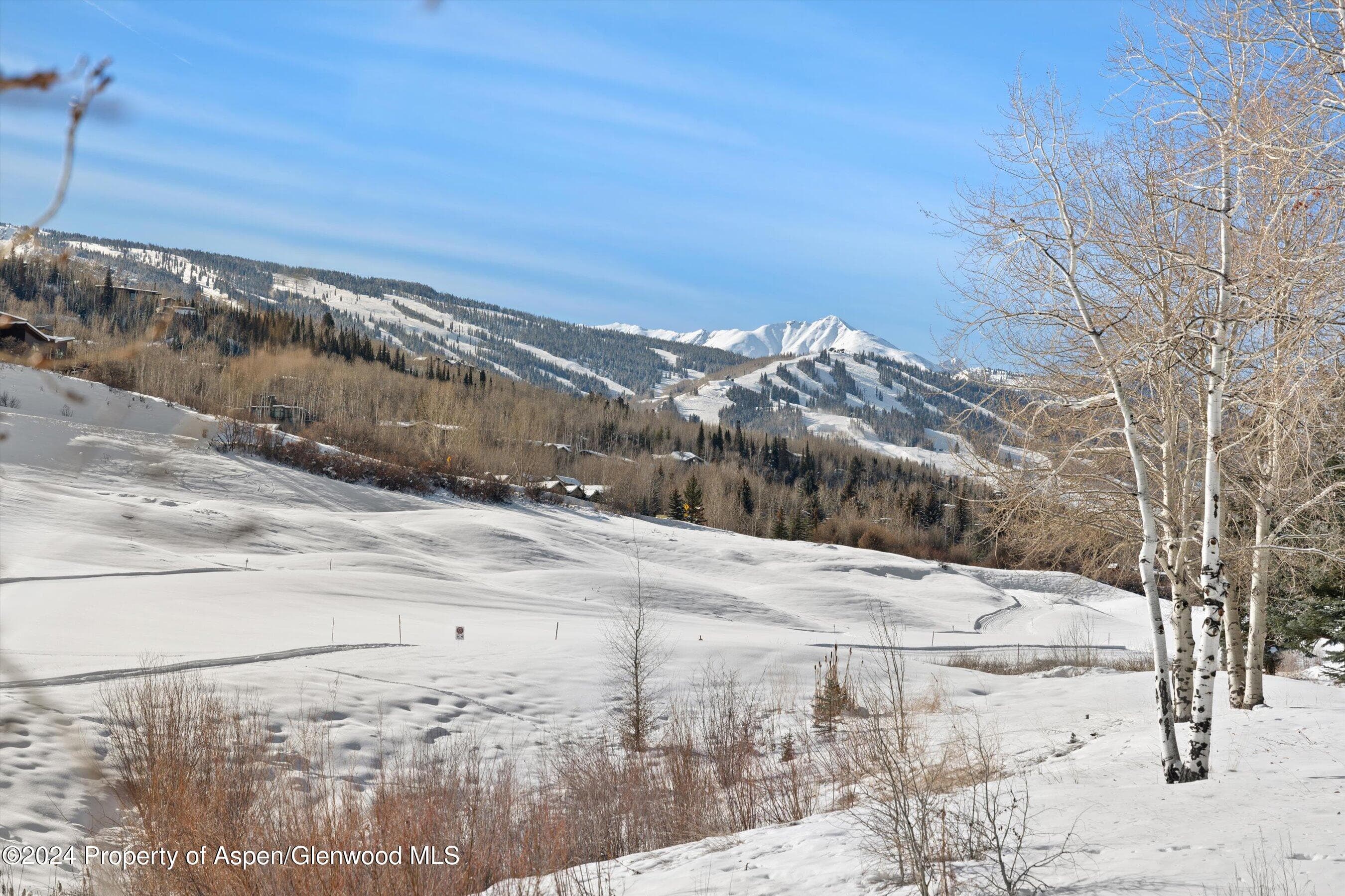366 Snowmass Club Circle 2, Snowmass Village, CO 81615 - Photo 19