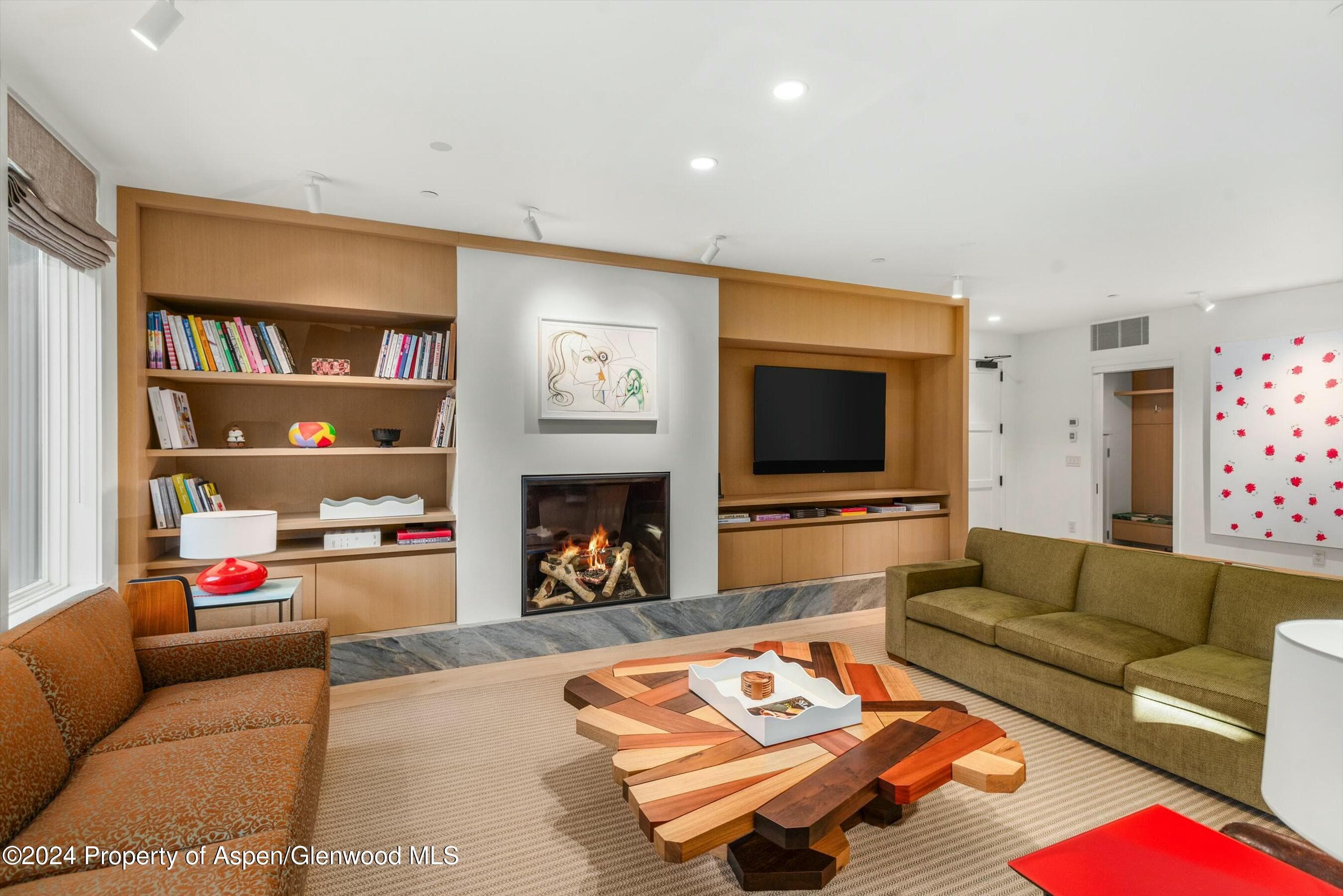 233 E Cooper Avenue 207, Aspen, CO 81611 - Photo 3