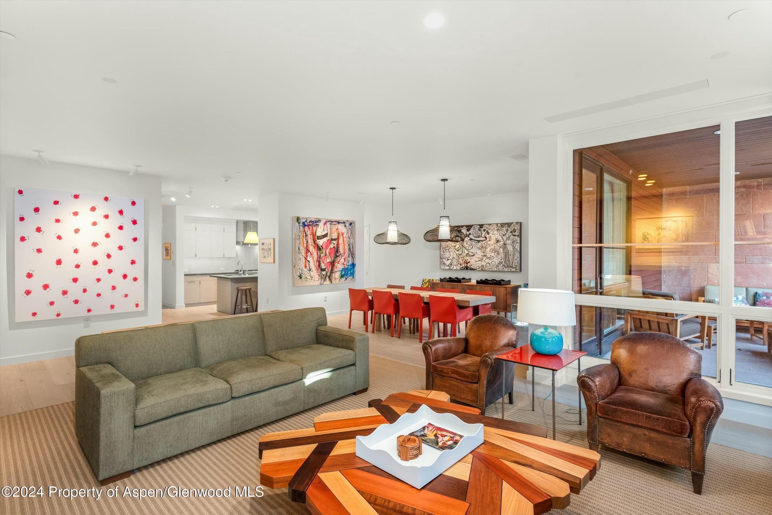 233 E Cooper Avenue 207, Aspen, CO 81611 - Photo 5