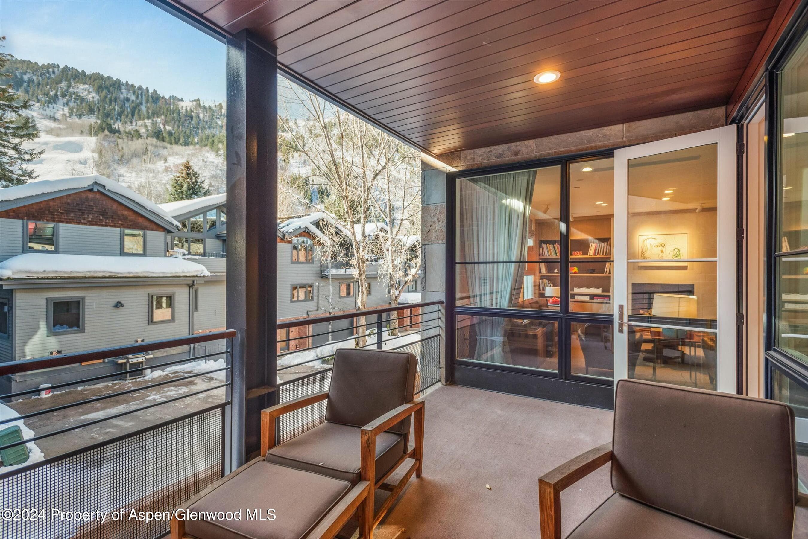 233 E Cooper Avenue 207, Aspen, CO 81611 - Photo 40
