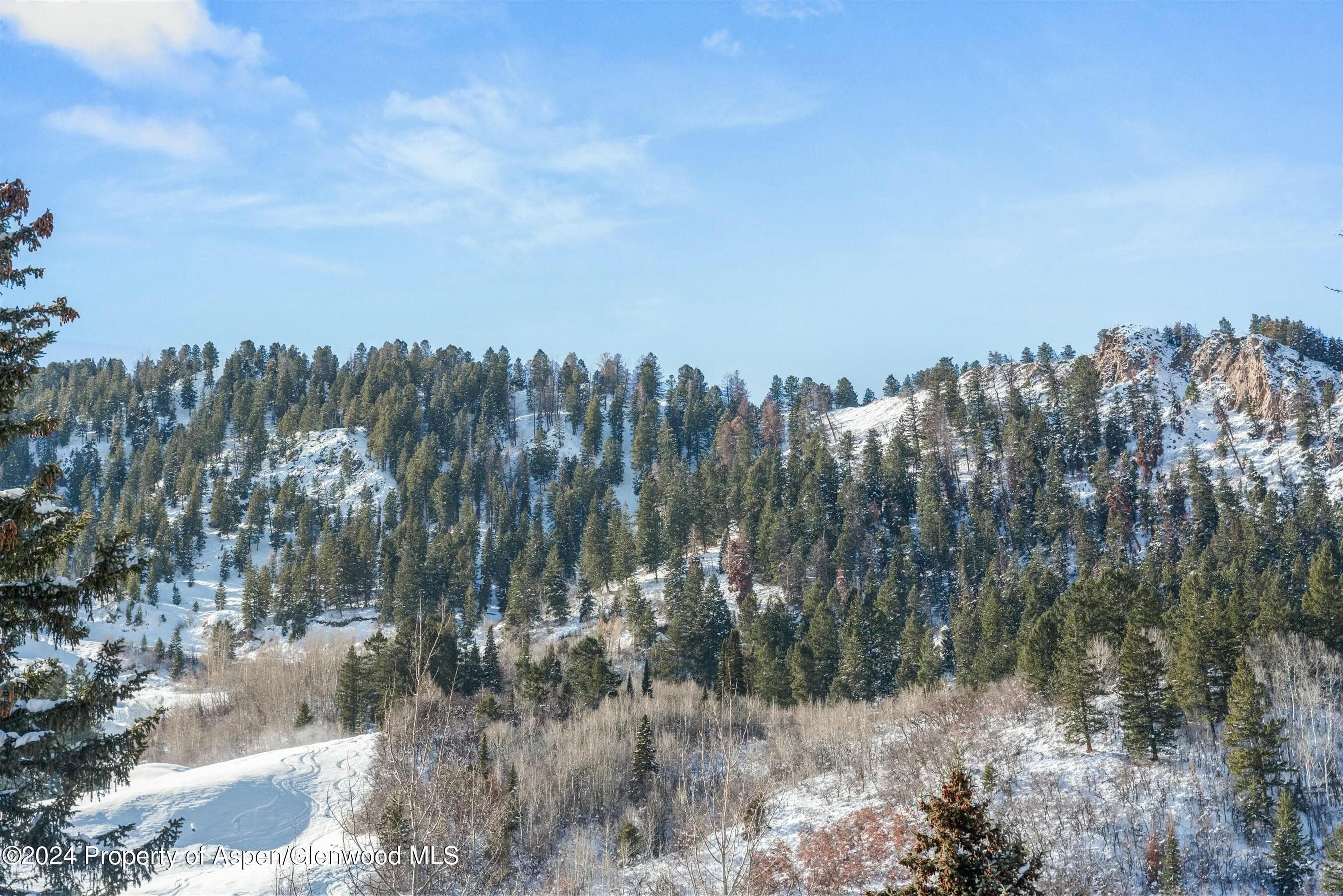 233 E Cooper Avenue 207, Aspen, CO 81611 - Photo 42