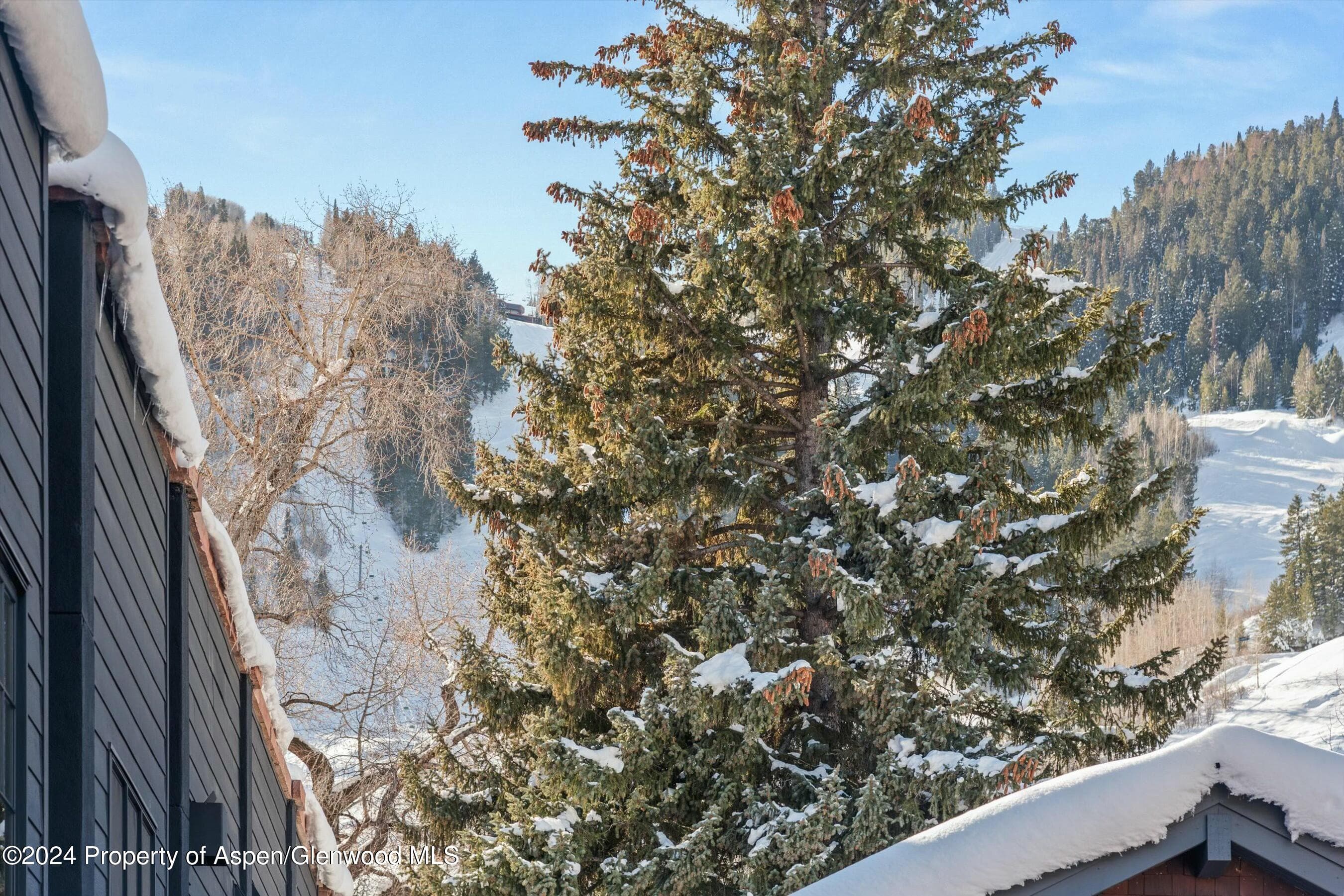 233 E Cooper Avenue 207, Aspen, CO 81611 - Photo 43