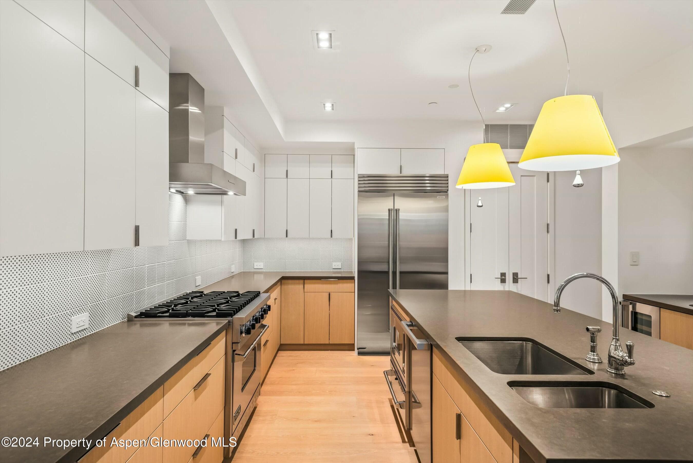 233 E Cooper Avenue 207, Aspen, CO 81611 - Photo 13