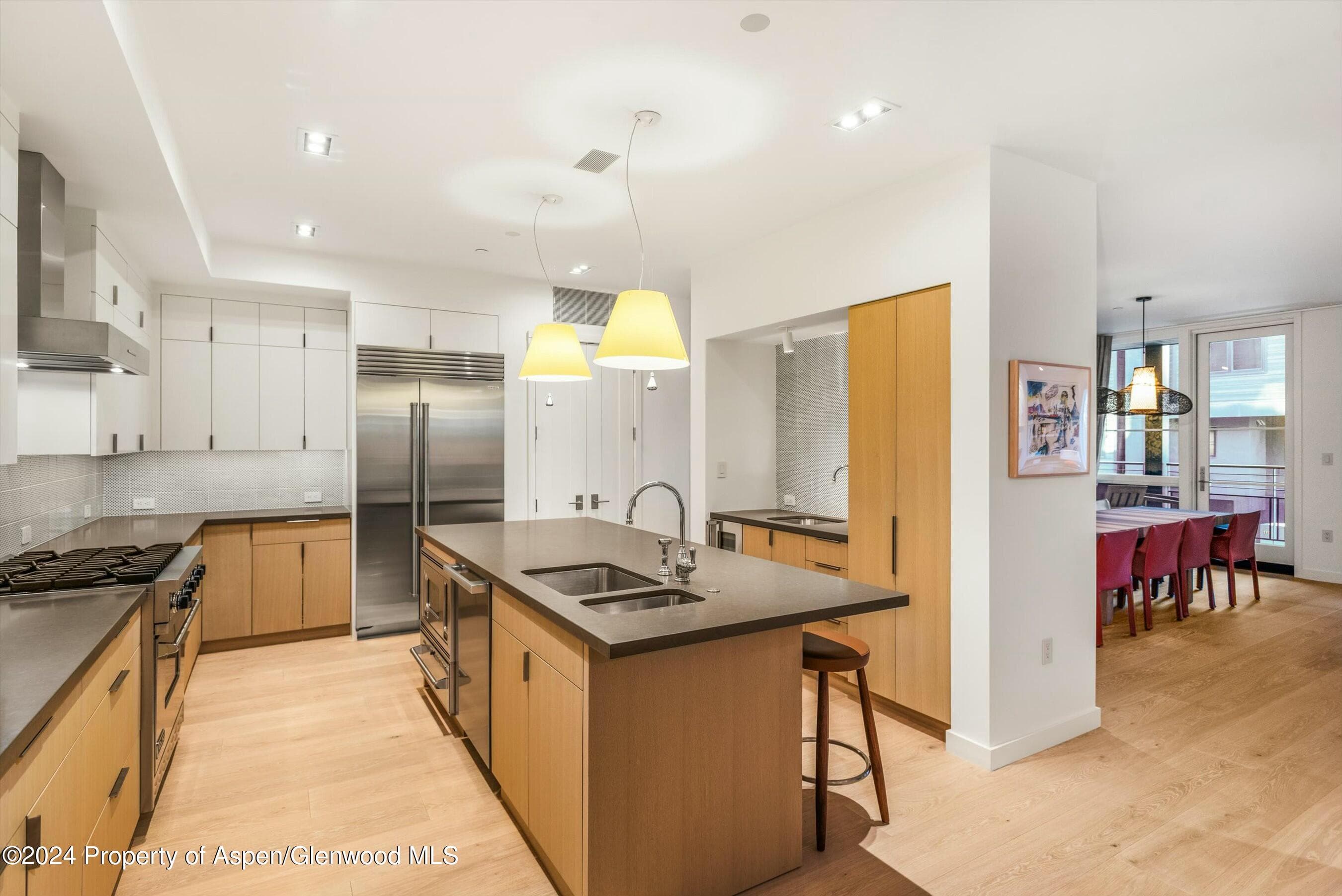 233 E Cooper Avenue 207, Aspen, CO 81611 - Photo 12
