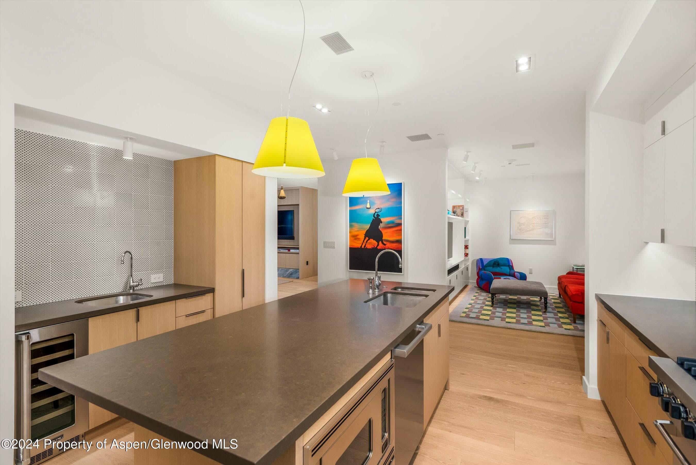 233 E Cooper Avenue 207, Aspen, CO 81611 - Photo 14