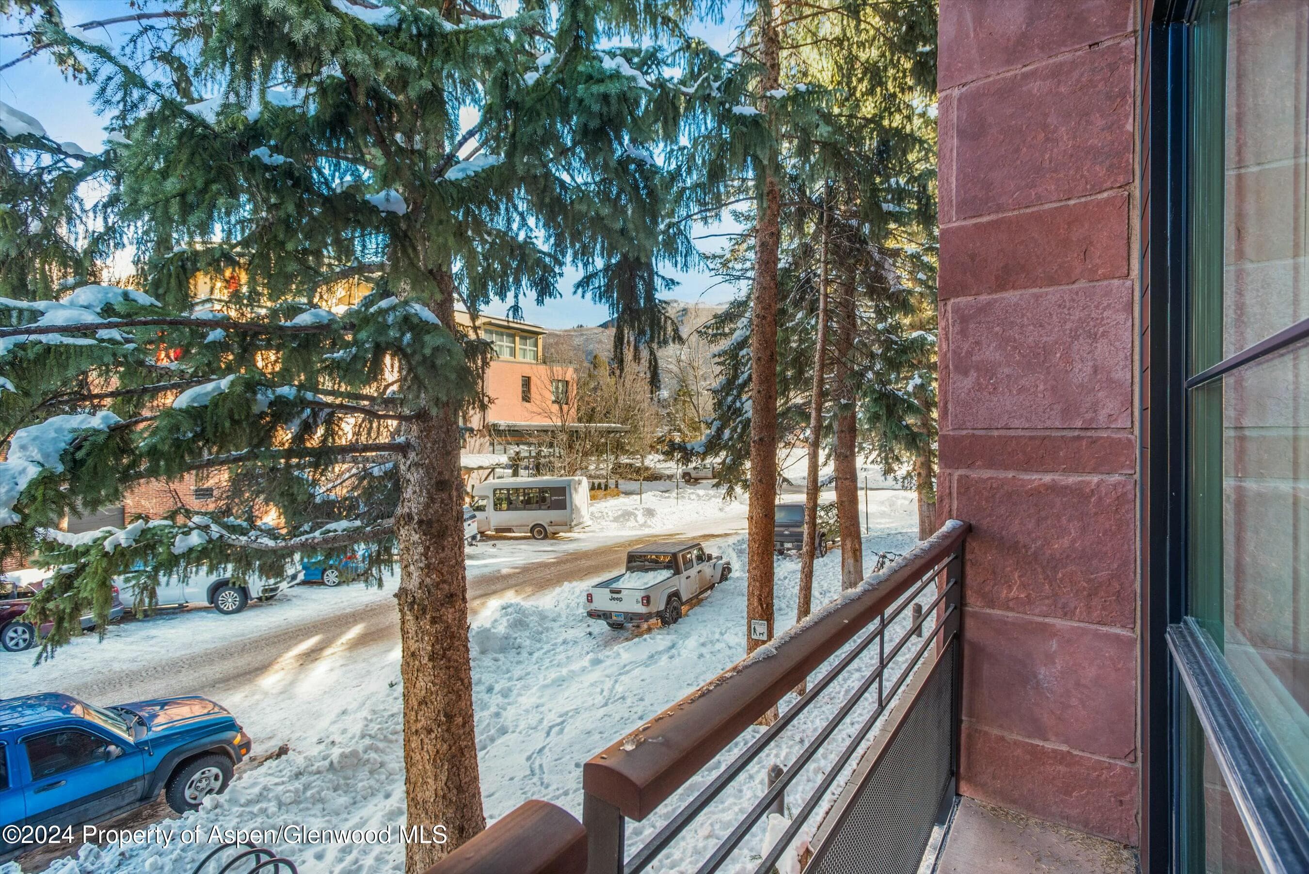 233 E Cooper Avenue 207, Aspen, CO 81611 - Photo 44