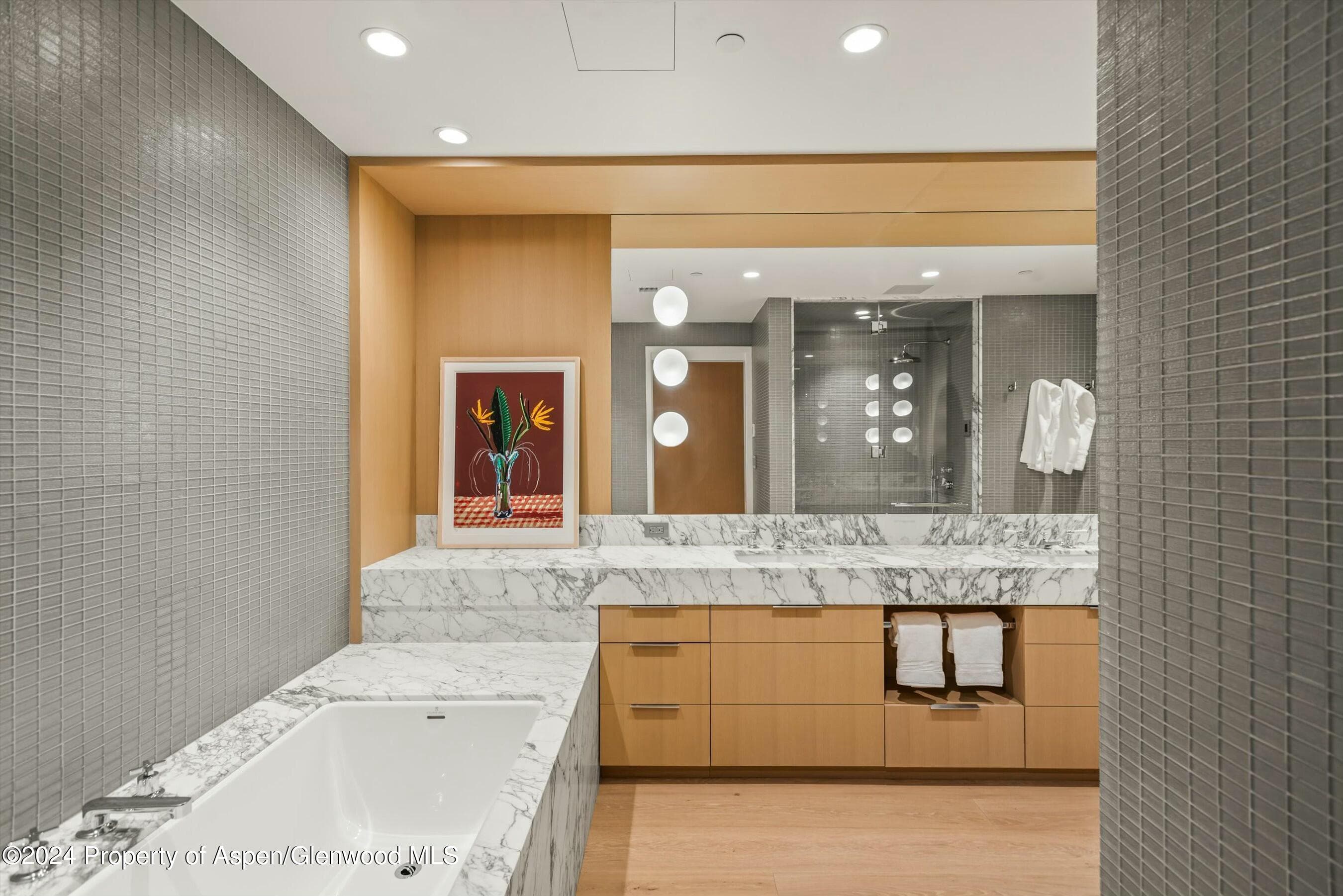 233 E Cooper Avenue 207, Aspen, CO 81611 - Photo 22