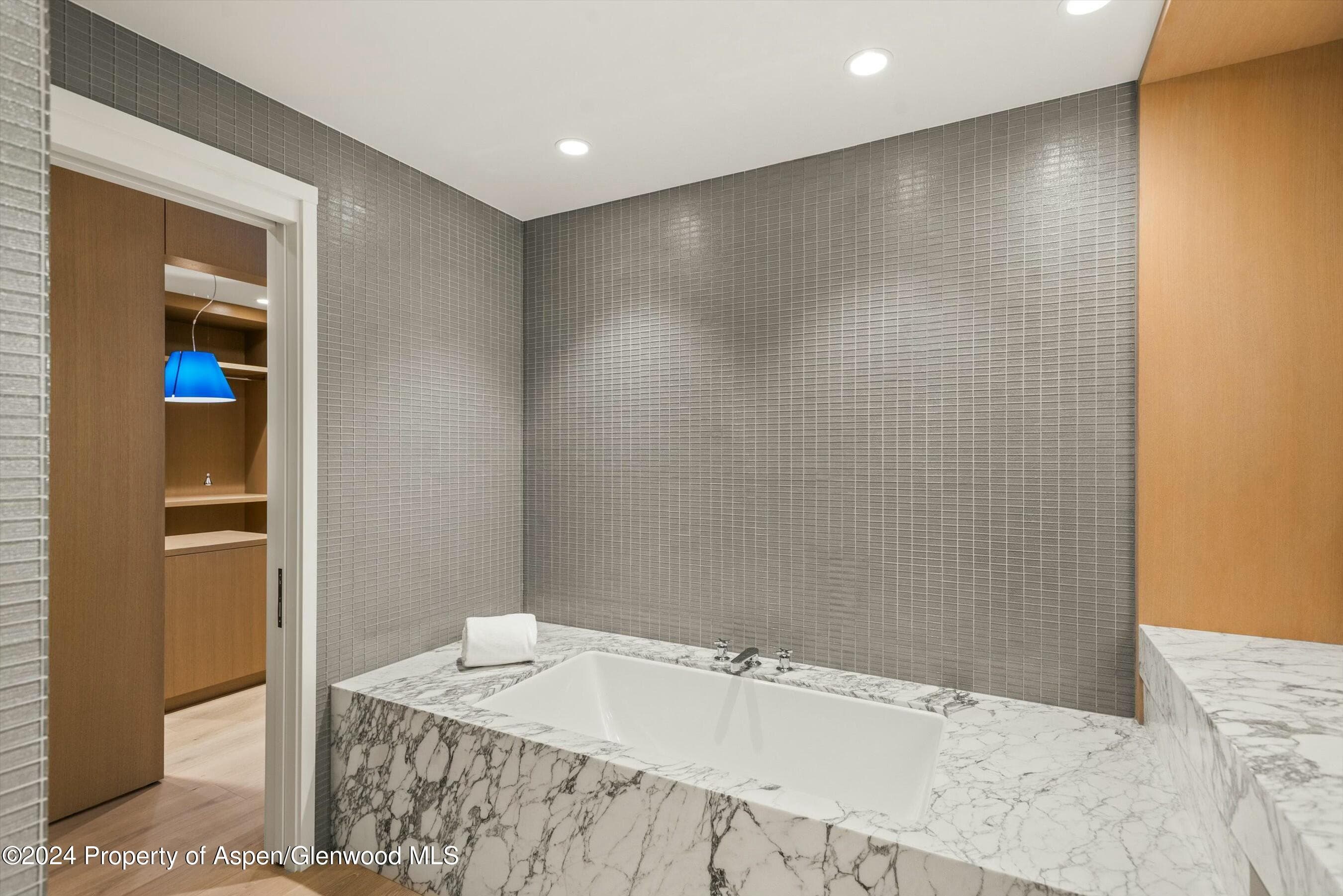 233 E Cooper Avenue 207, Aspen, CO 81611 - Photo 23