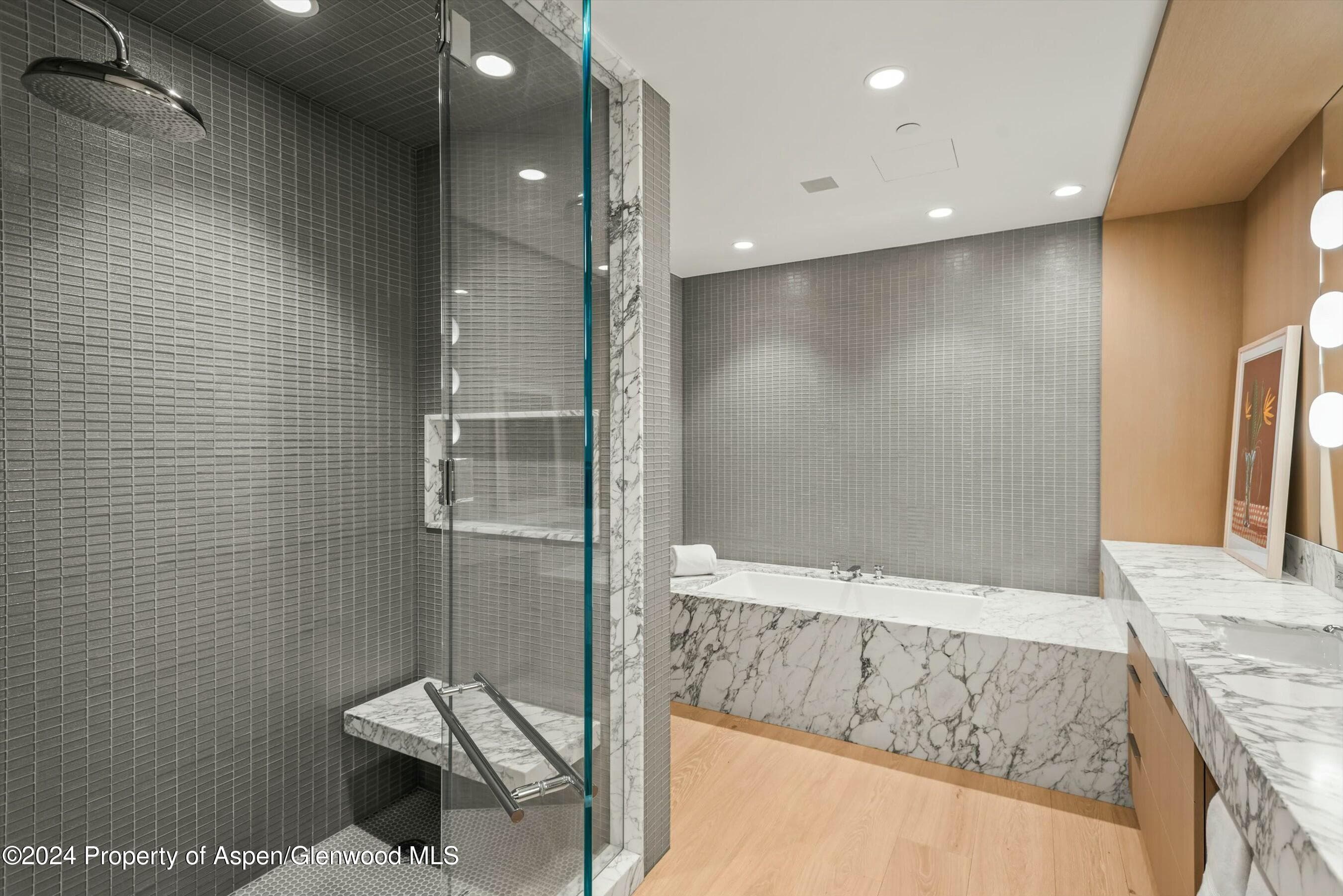 233 E Cooper Avenue 207, Aspen, CO 81611 - Photo 25